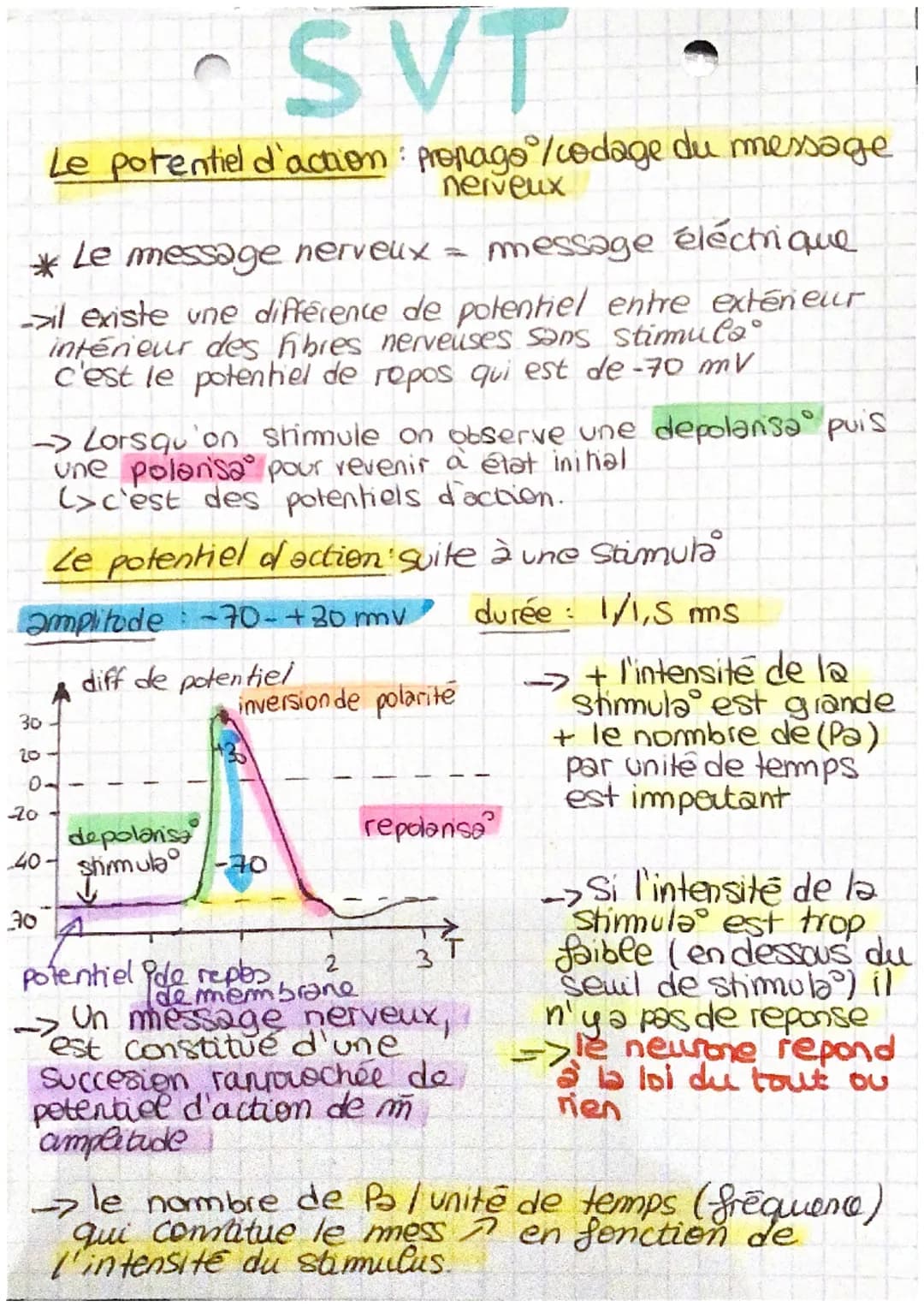 555
S
S
ミ
Les réflexes
réflexe myelatique: mouvement involontaire d'un muscle
controlé par la moelle éninière :
provoque contrac d'un musile