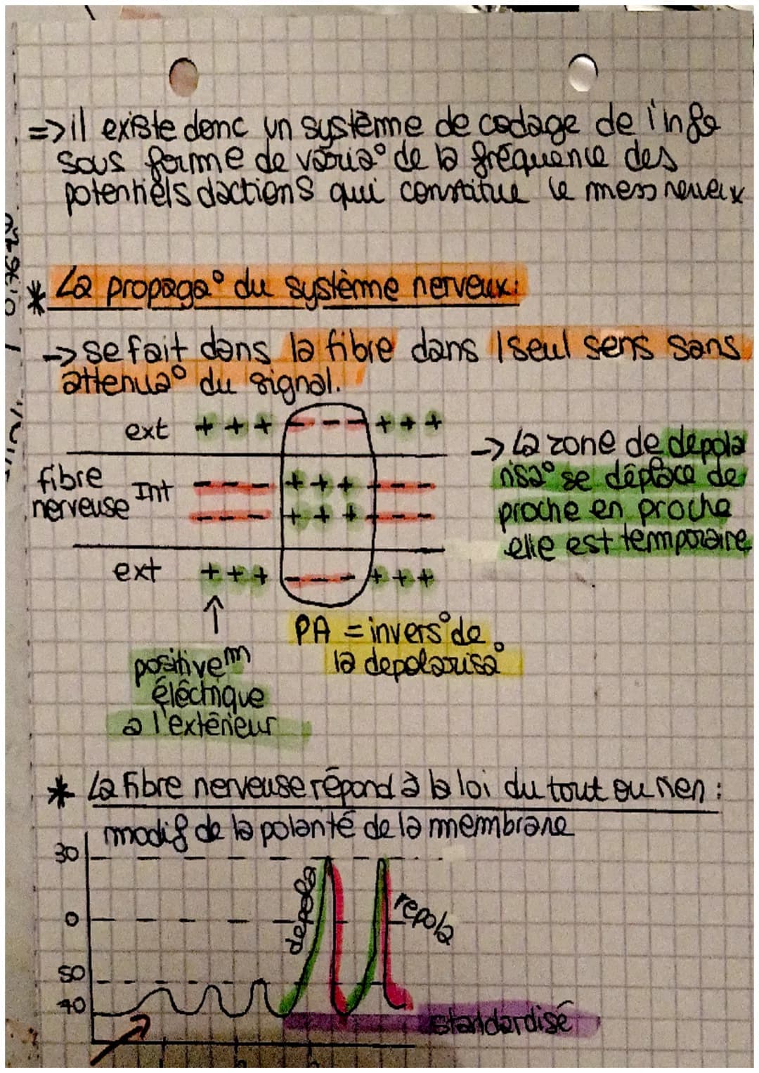 555
S
S
ミ
Les réflexes
réflexe myelatique: mouvement involontaire d'un muscle
controlé par la moelle éninière :
provoque contrac d'un musile