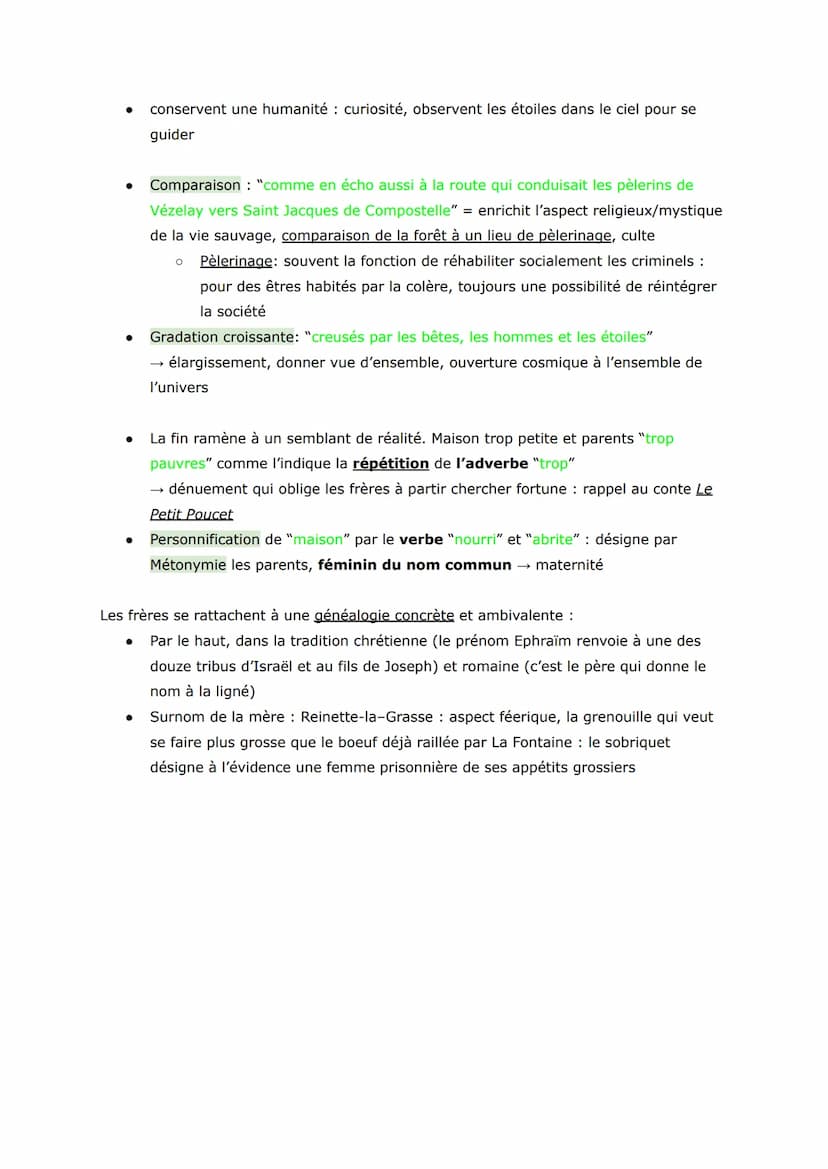 "ils étaient" rappel: début d'un conte, passé indéterminé, voire à celui des
origines
● formule attributive, introduit Métaphore filée : ces