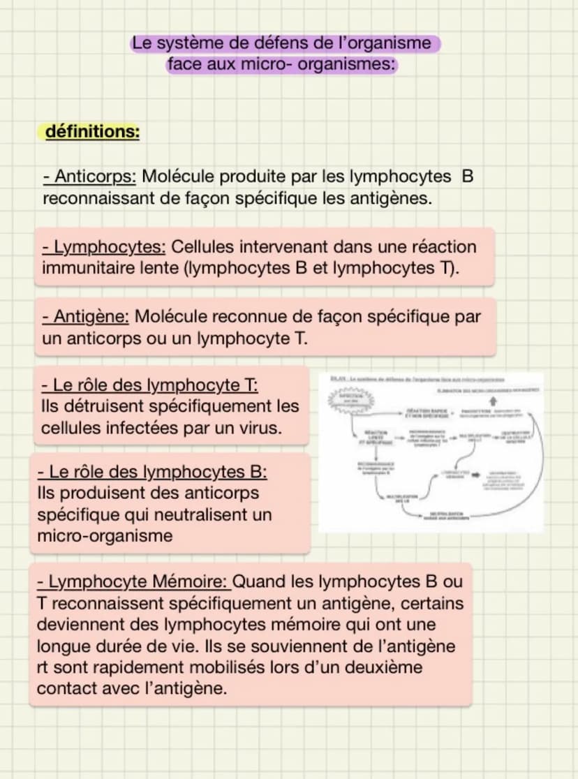 Le système de défens de l'organisme
face aux micro-organismes:
définitions:
- Anticorps: Molécule produite par les lymphocytes B
reconnaissa