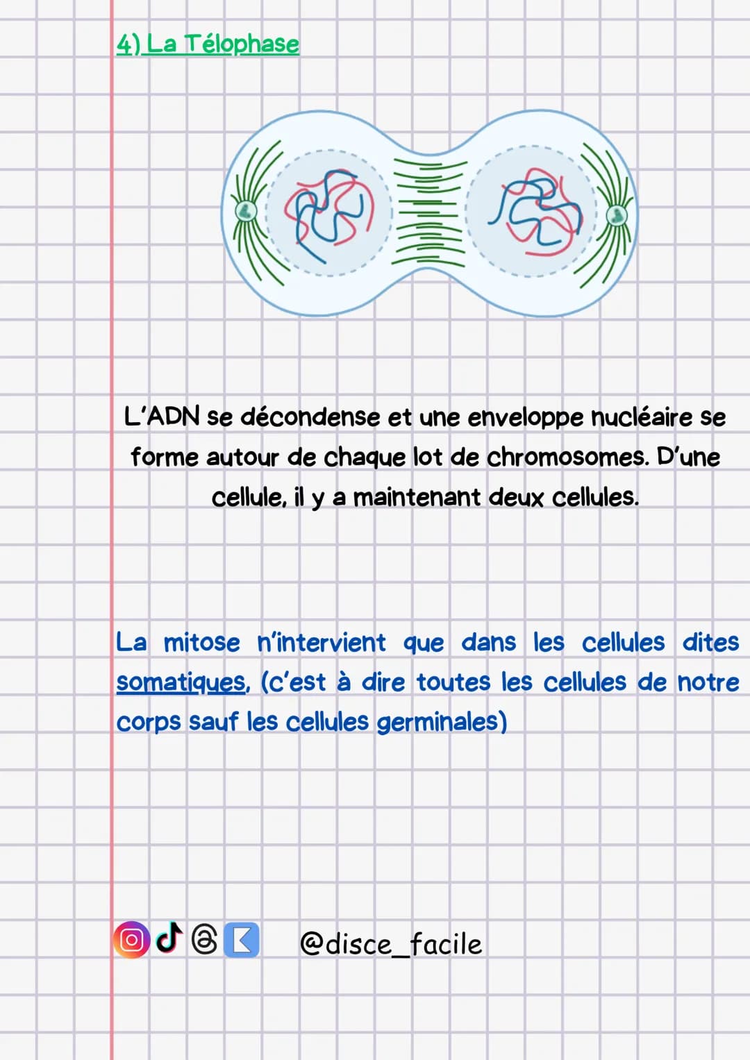 # Lamitose
La mitose permet de créer des copies identiques des
cellules. Elle permet de créer de nouvelles cellules pour
remplacer celles qu