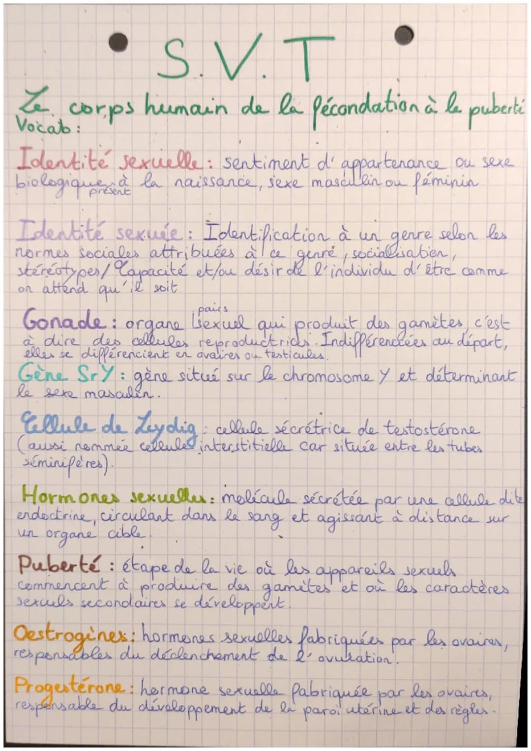 S.V.T
Le corps humain de la fécondation à la puberté
Vocab:
Identité sexuelle: sentiment d'appartenance ou sexe
biologique à la naissance, s