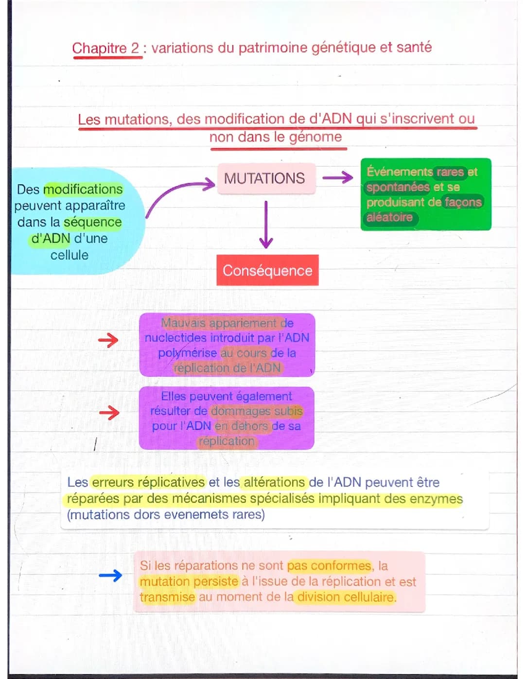 Variations du patrimoine génétique et santé 