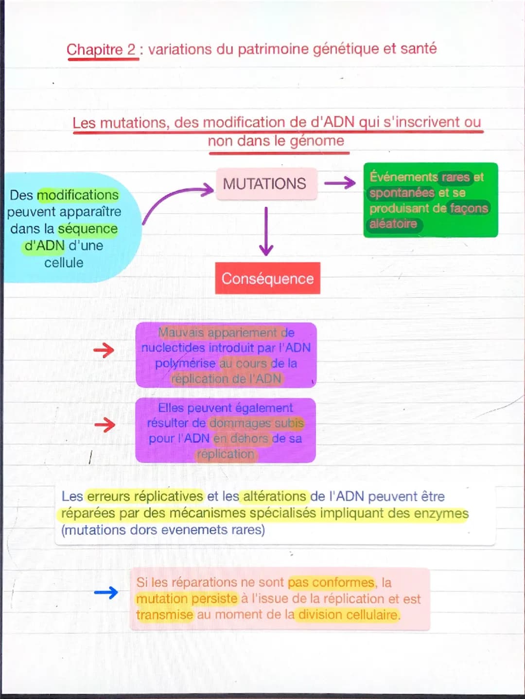 Chapitre 2: variations du patrimoine génétique et santé
Les mutations, des modification de d'ADN qui s'inscrivent ou
non dans le génome
MUTA