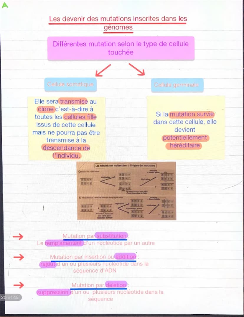 Chapitre 2: variations du patrimoine génétique et santé
Les mutations, des modification de d'ADN qui s'inscrivent ou
non dans le génome
MUTA