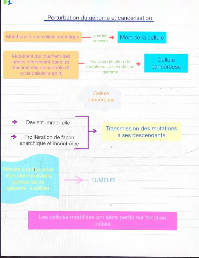 Chapitre 2: variations du patrimoine génétique et santé
Les mutations, des modification de d'ADN qui s'inscrivent ou
non dans le génome
MUTA