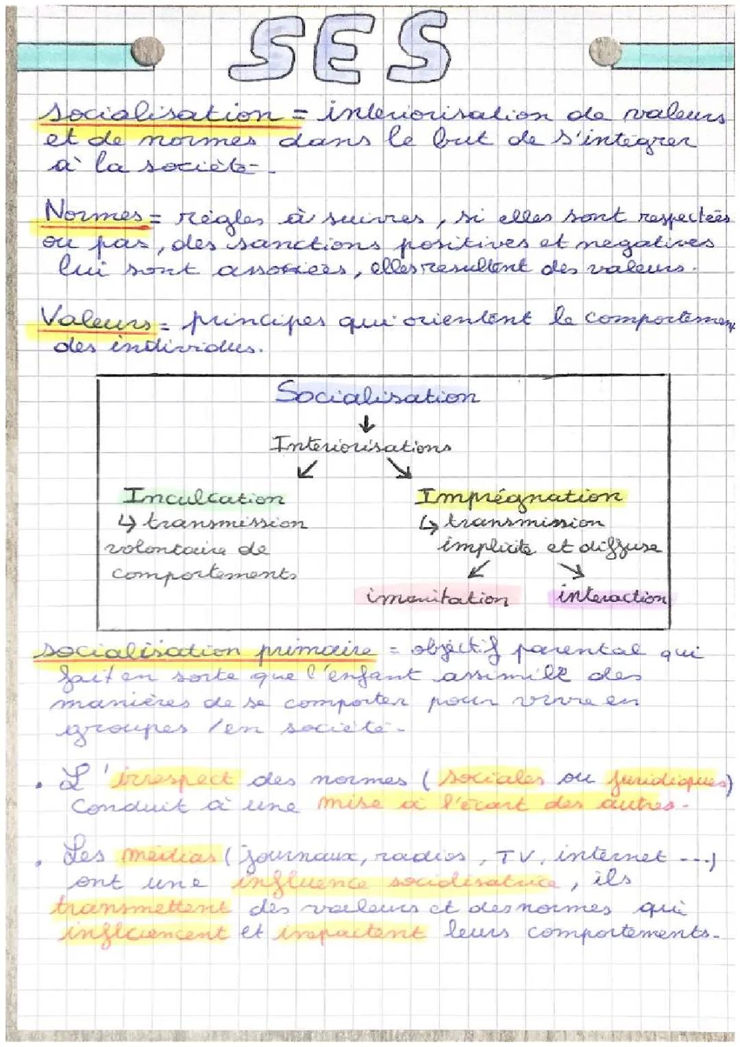 Tout sur la Socialisation: Primaire, Secondaire et Plus!