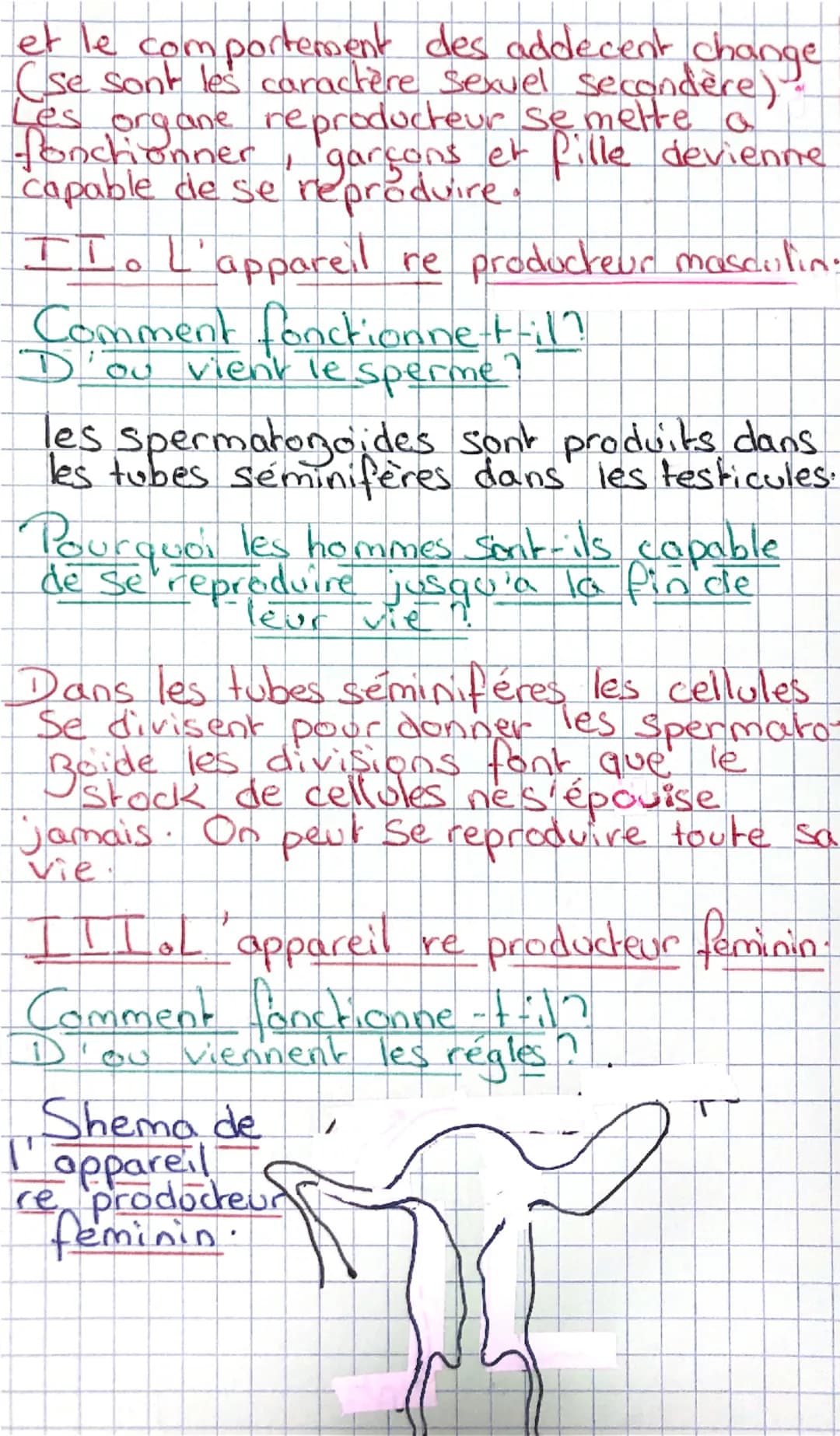 La transmission de lavie cherz
(S.VT)
homme
P
I. Devenir un homme, devenir une
femme
Qu'est ce que la puberté
Filles
Garçons
Bilan:
poils so