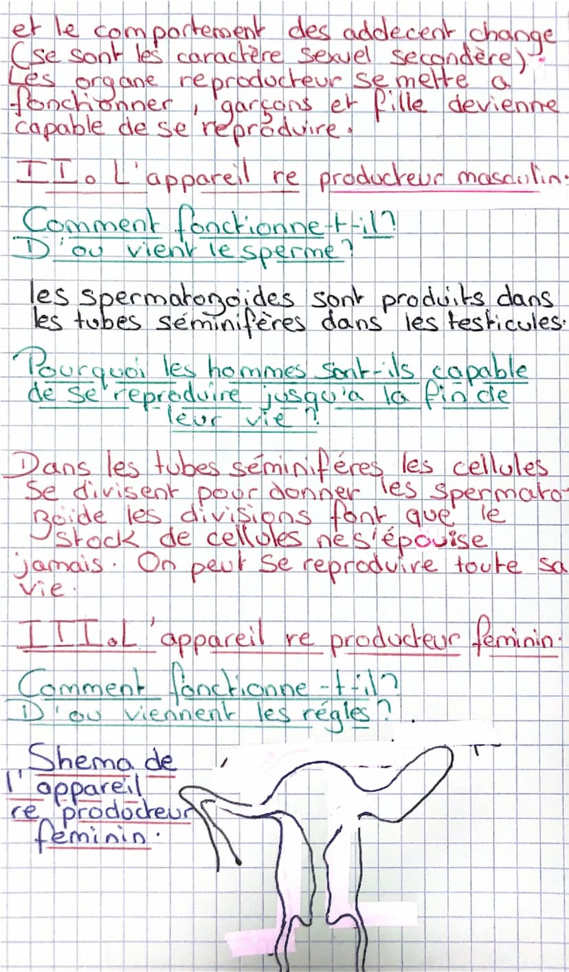 La transmission de lavie cherz
(S.VT)
homme
P
I. Devenir un homme, devenir une
femme
Qu'est ce que la puberté
Filles
Garçons
Bilan:
poils so