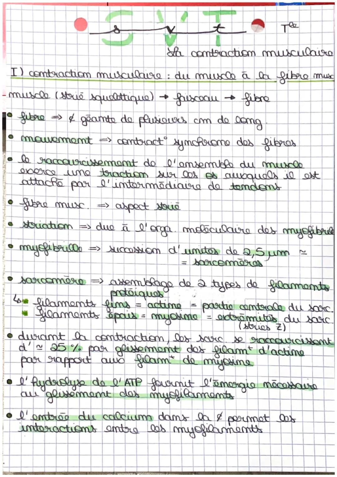 t
те
La contraction musculaire
I) contraction musculaire : du muscle à la fibre musc
-muscle (strie squelettique)
faisceau
fibre
fibre => & 