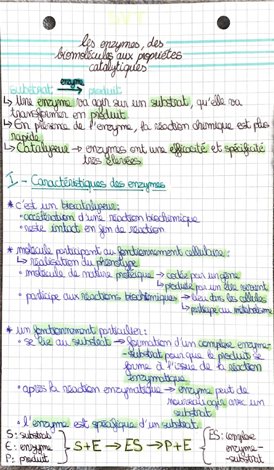 Les enzymes