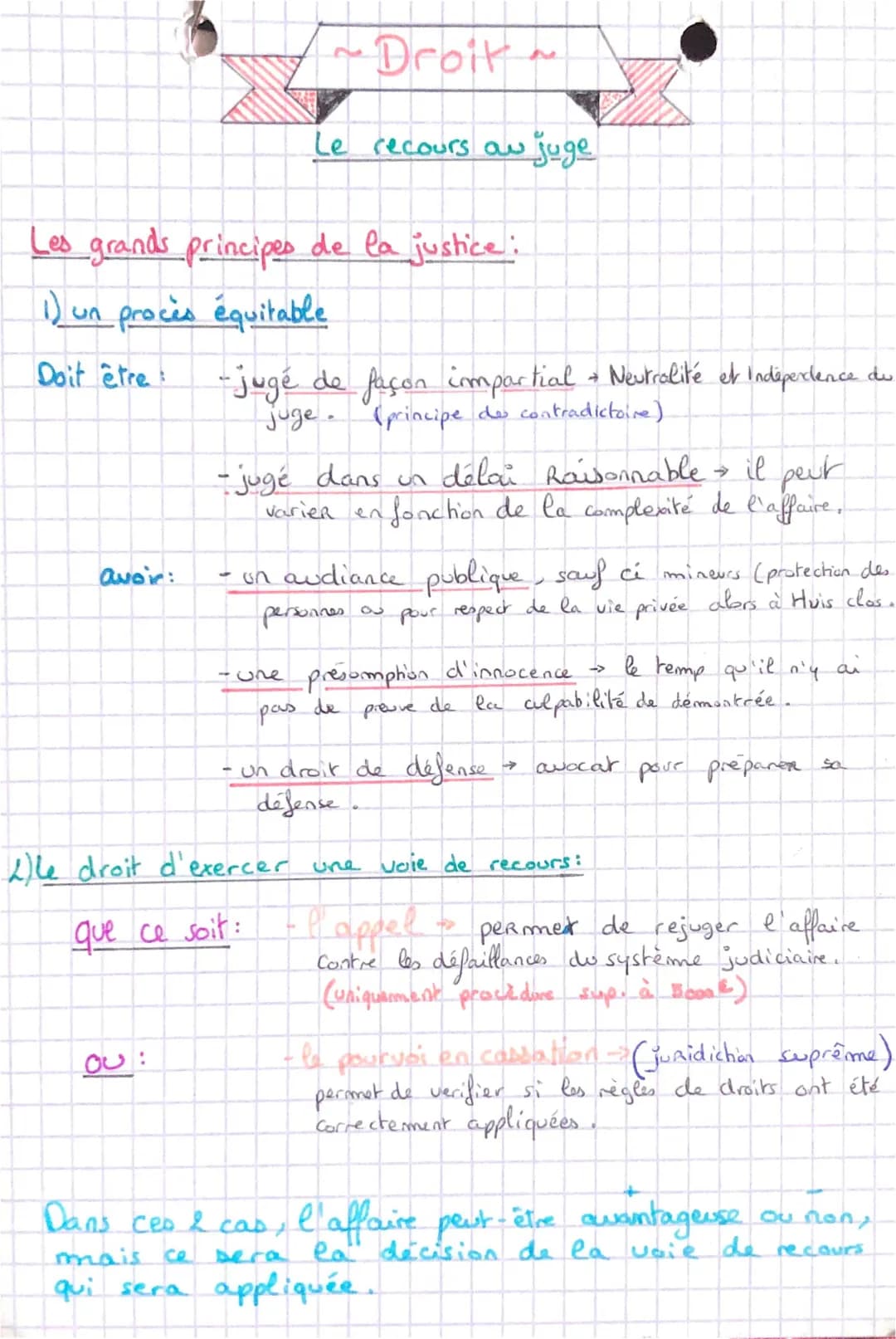 Le recours au juge STMG - Cours, Exercices et Synthèses