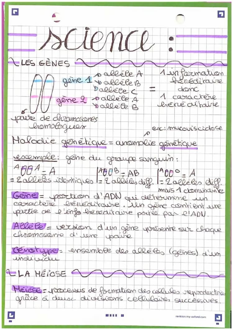 Know les gènes, la méiose et la fécondation  thumbnail