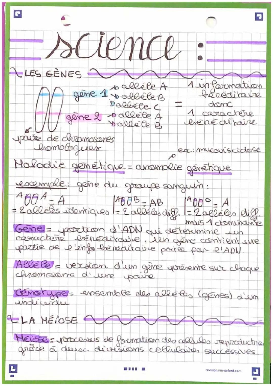 Découvre la génétique de la mucoviscidose et le processus de la méiose chez l'humain !