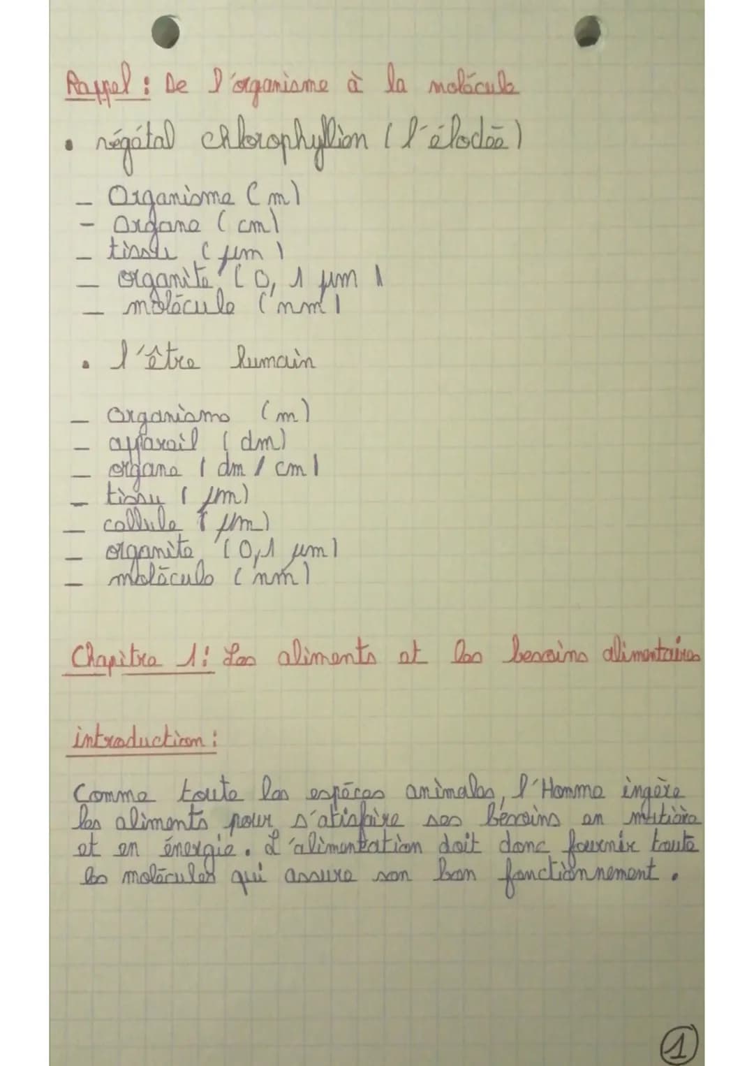 Rappel: De l'organisme à la molécule
régétal ckbrophyllim (l'éloda)
Organisme (m)
Organe (cm)
tisste c
organite Co, 1 fm
molécule ('nm 1
I'ê