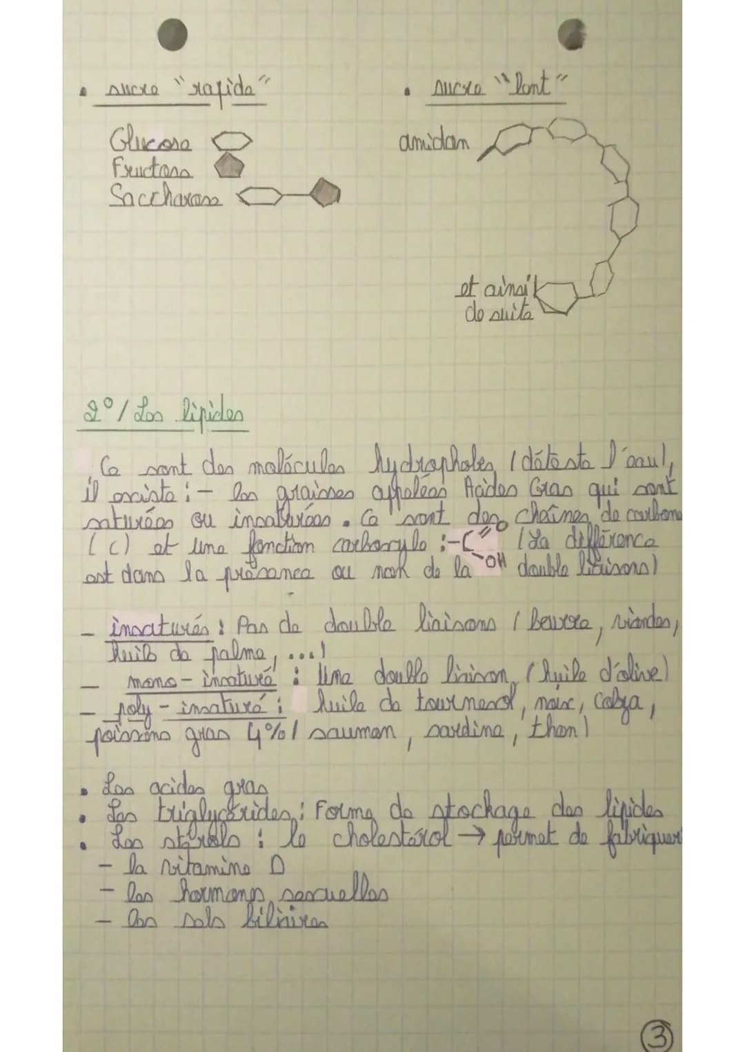 Rappel: De l'organisme à la molécule
régétal ckbrophyllim (l'éloda)
Organisme (m)
Organe (cm)
tisste c
organite Co, 1 fm
molécule ('nm 1
I'ê