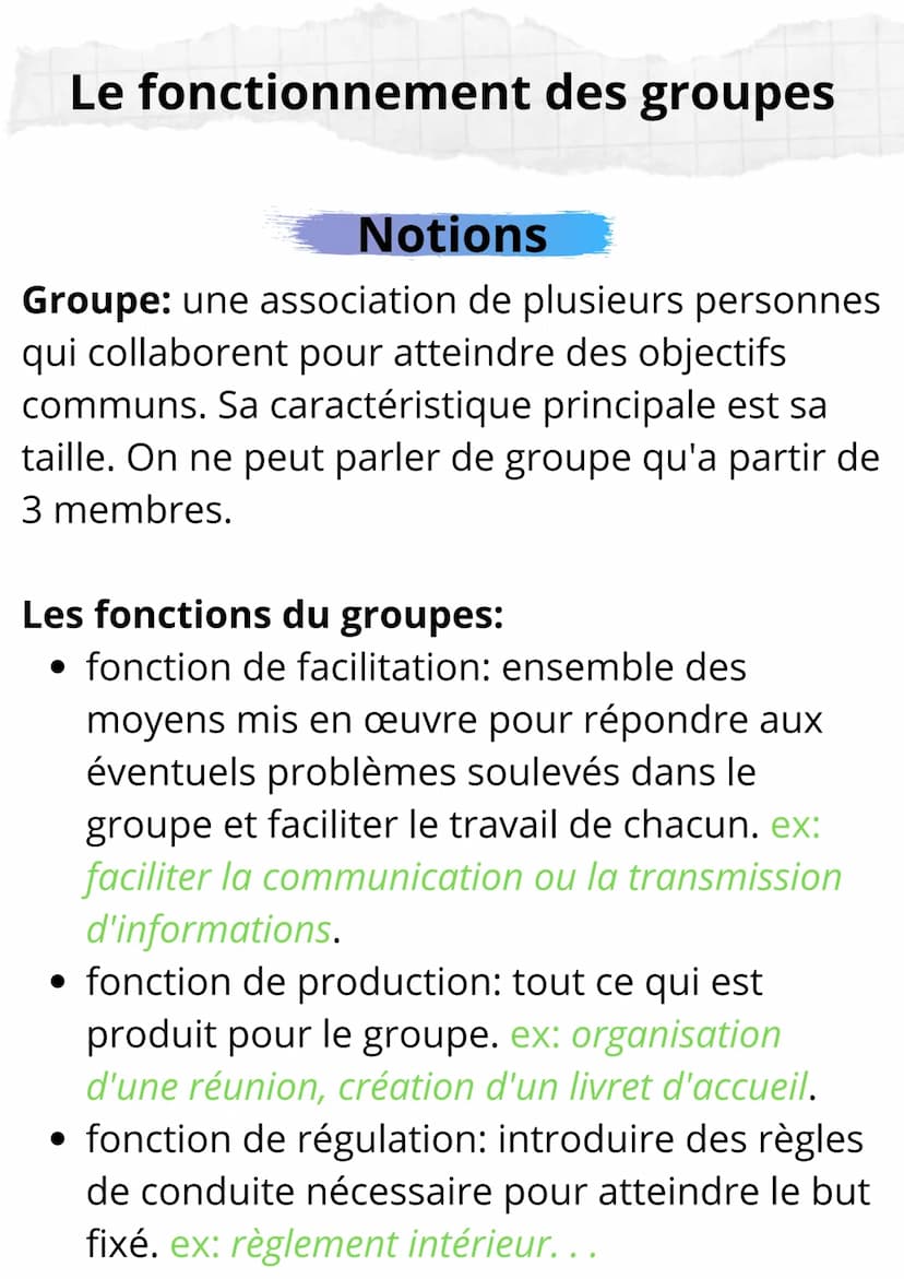 Sciences de Gestion et du
Numérique
Notions et Formules Le fonctionnement des groupes
Notions
Groupe: une association de plusieurs personnes