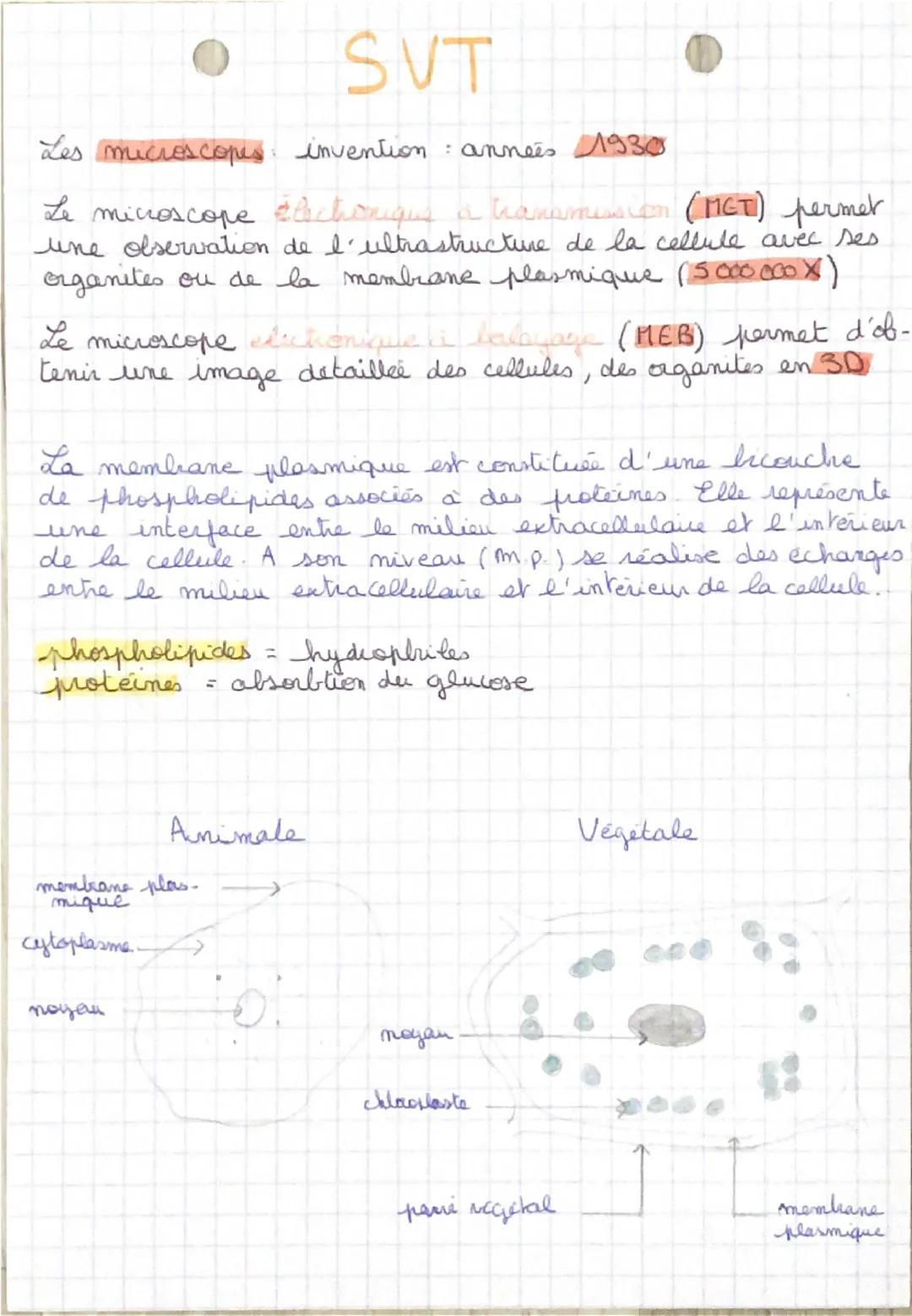 # SVT

La cellule vivante

Organisme : ensemble d'organe réalisant toutes les fonctions -> mm au m -> oeil mu -> être humain /végétal

Organ