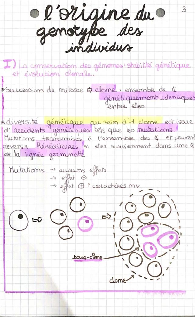 Know génétique: l’origine du génotype des individus thumbnail