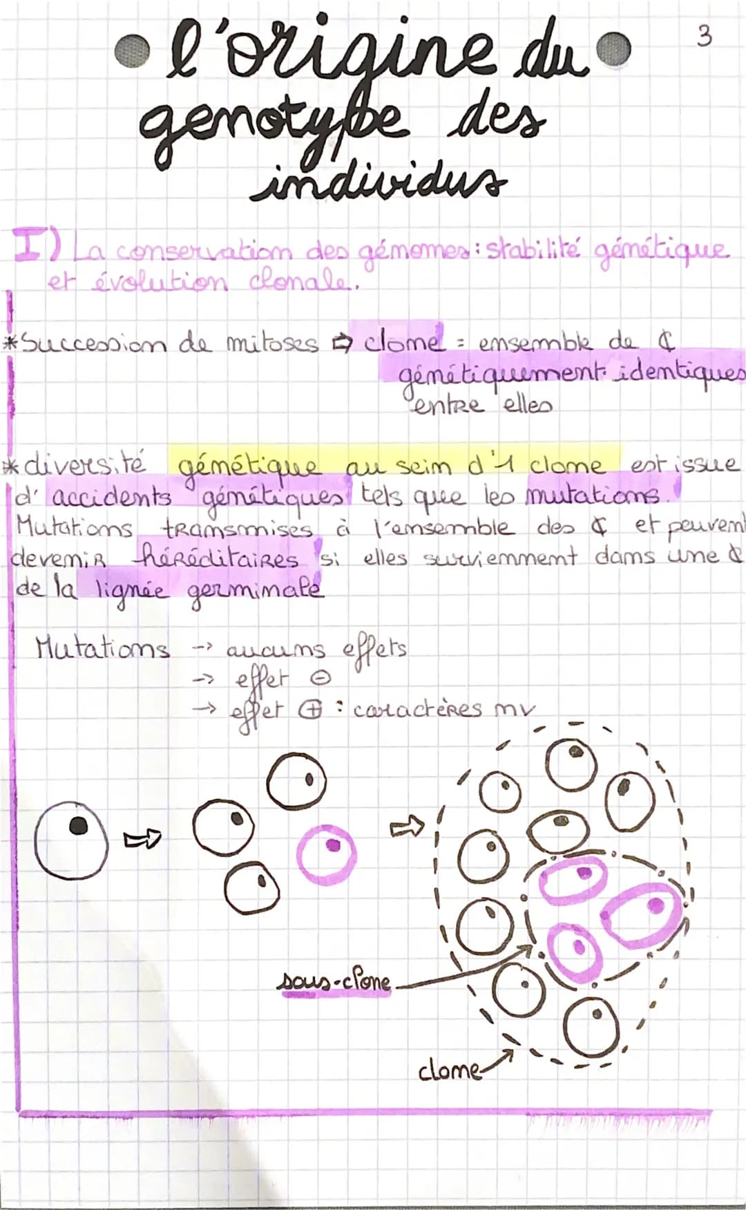 l'origine du 3
genoty be des
individus
I) La conservation des génomes: stabilité génétique
et évolution clonale."
*Succession de mitoses clo