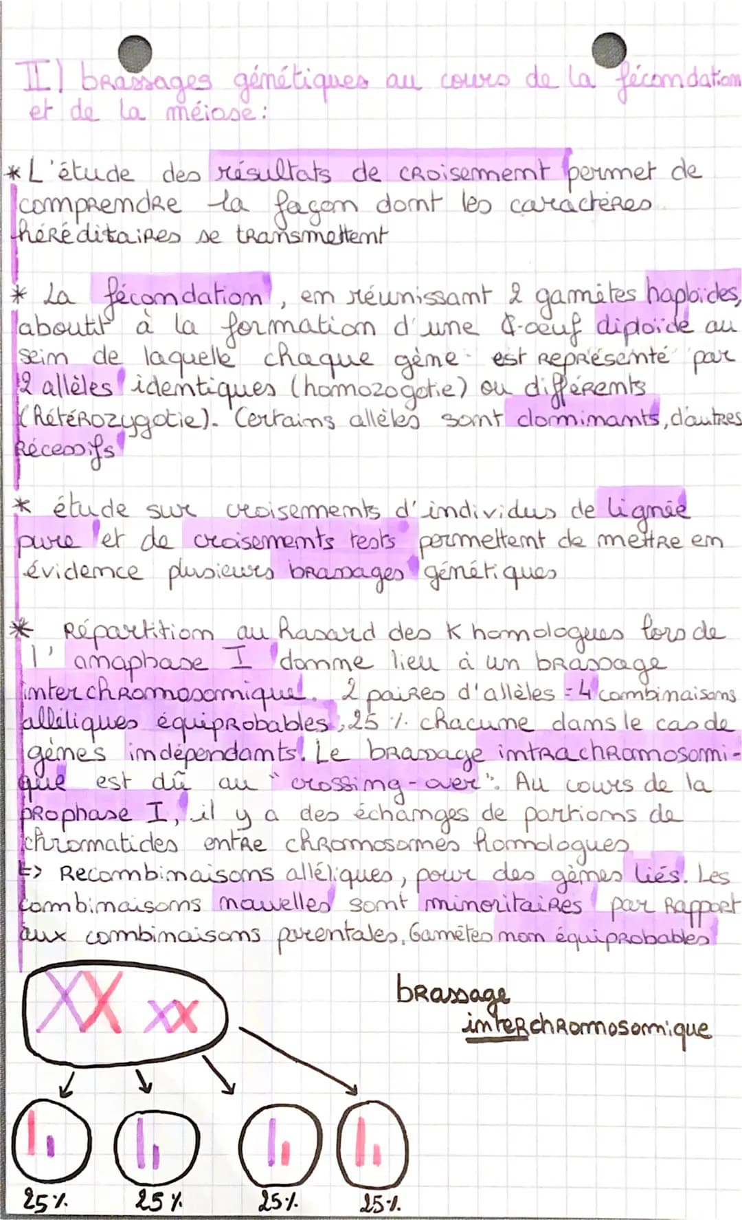 l'origine du 3
genoty be des
individus
I) La conservation des génomes: stabilité génétique
et évolution clonale."
*Succession de mitoses clo