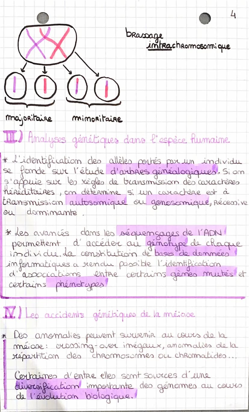 l'origine du 3
genoty be des
individus
I) La conservation des génomes: stabilité génétique
et évolution clonale."
*Succession de mitoses clo
