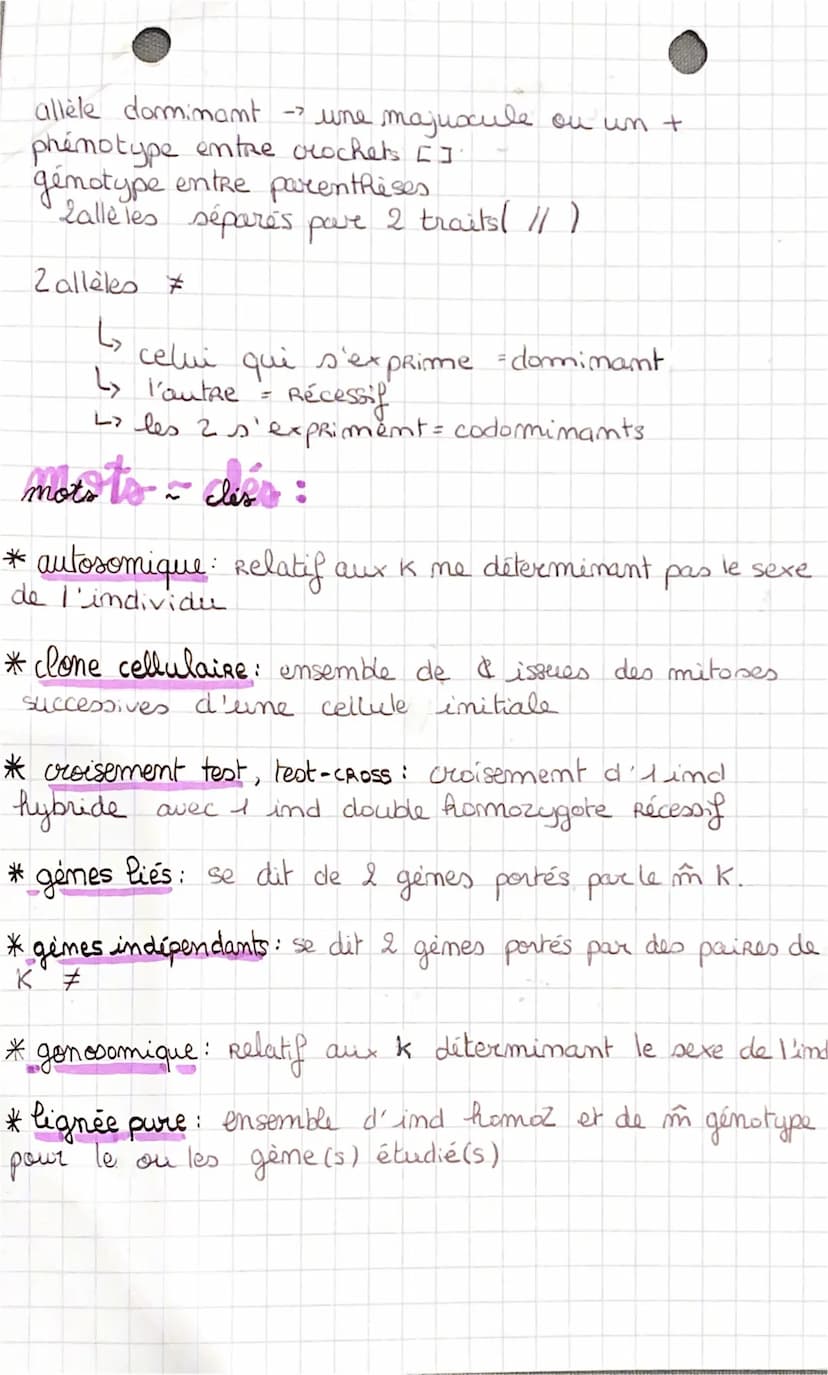 l'origine du 3
genoty be des
individus
I) La conservation des génomes: stabilité génétique
et évolution clonale."
*Succession de mitoses clo