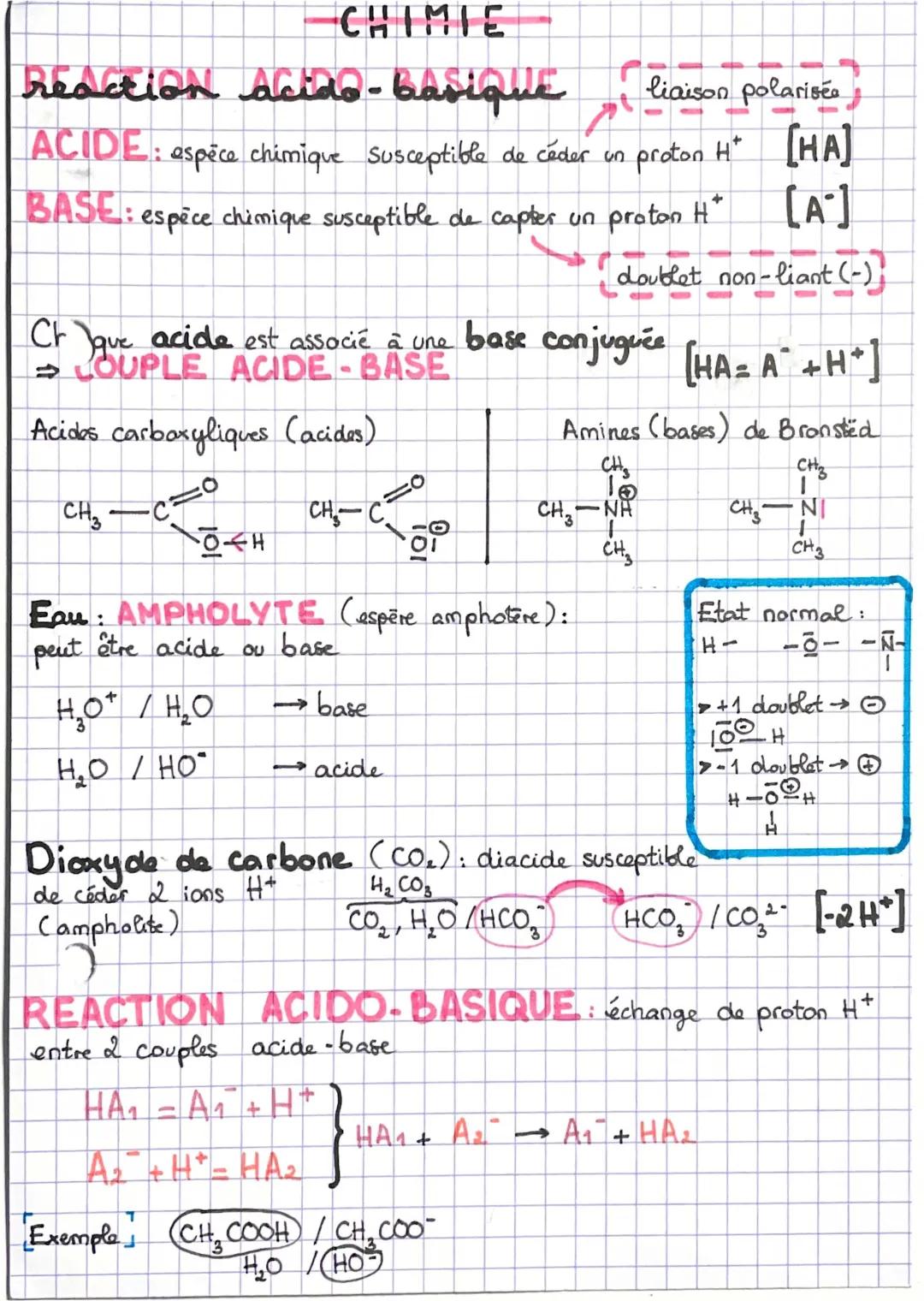 Comprendre la Réaction Acido-Basique en Chimie : Acides Carboxyliques et Bases Aminés