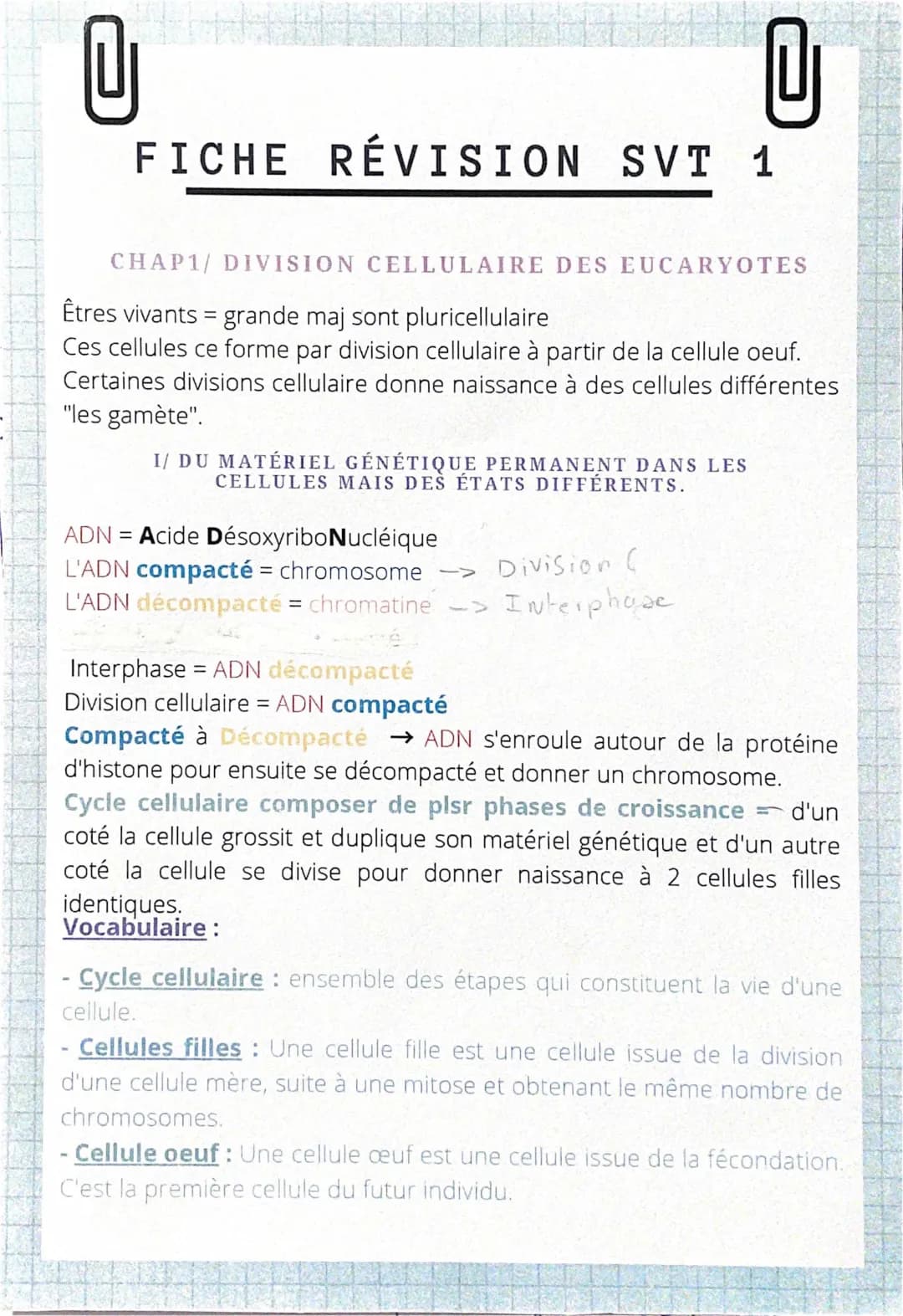 Les Divisions Cellulaires des Eucaryotes - Fiche, Exercice, Schéma, et Cours PDF