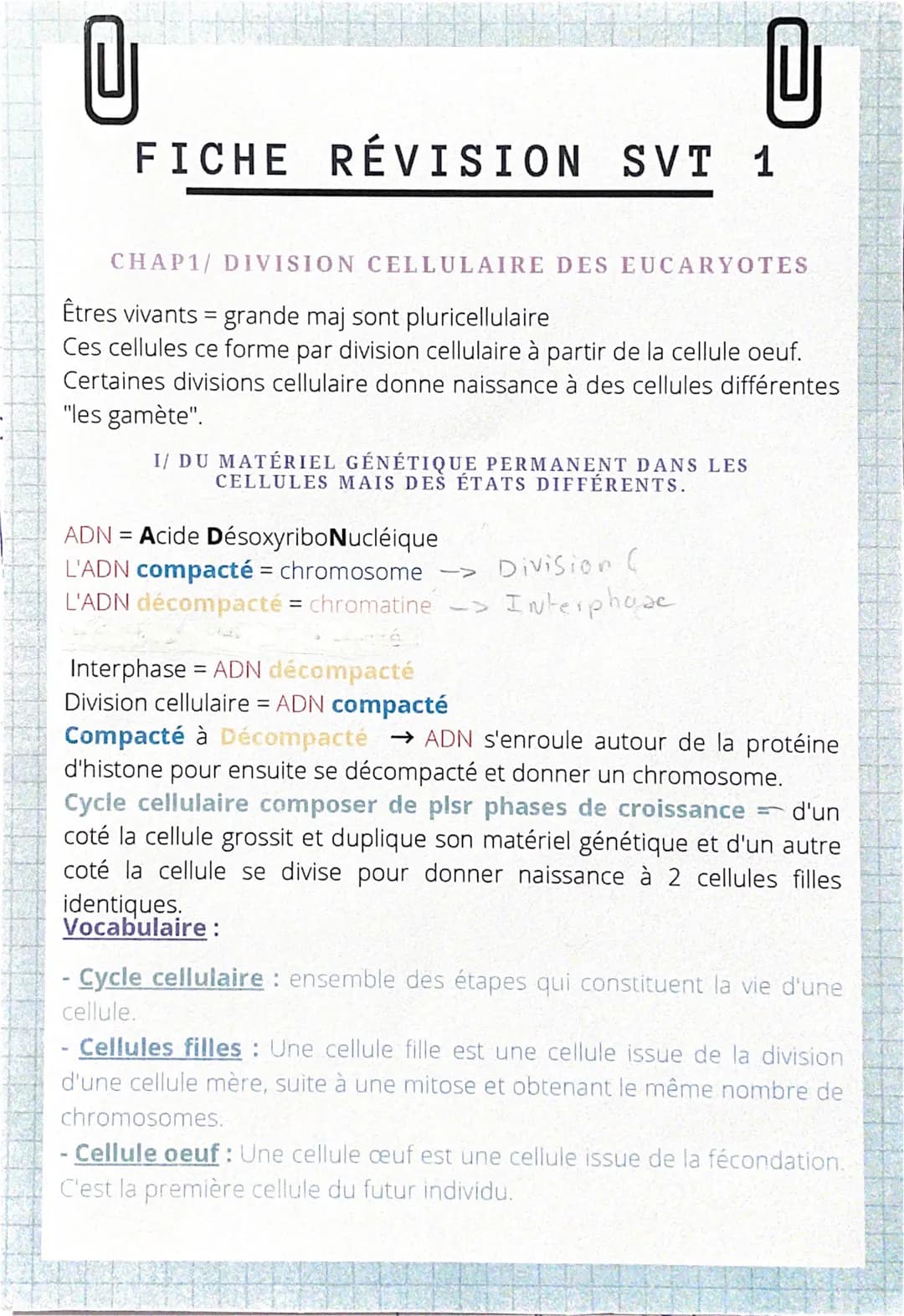 U
U
FICHE RÉVISION SVT 1
CHAP1/ DIVISION CELLULAIRE DES EUCARYOTES
Êtres vivants = grande maj sont pluricellulaire
Ces cellules ce forme par