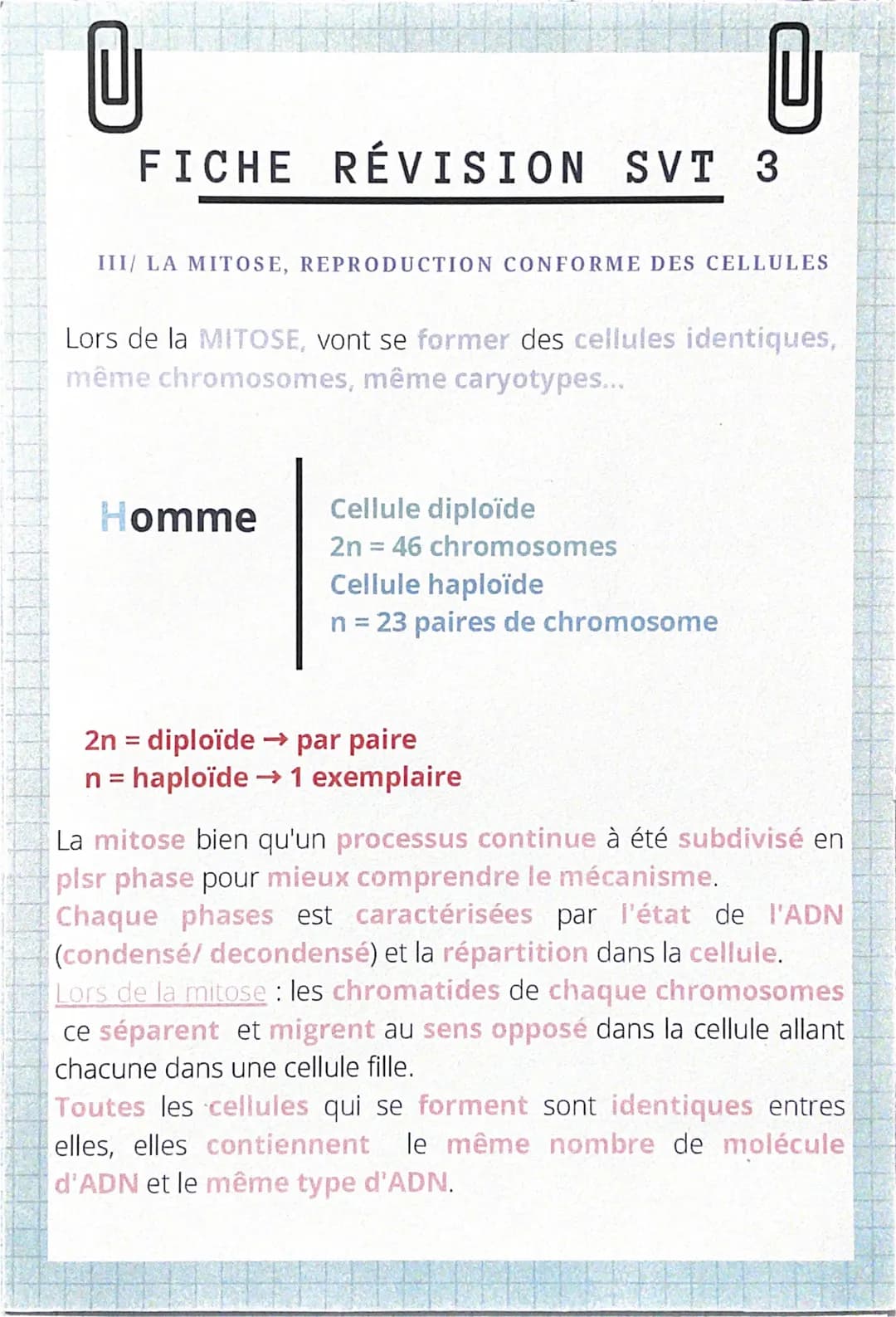 U
U
FICHE RÉVISION SVT 1
CHAP1/ DIVISION CELLULAIRE DES EUCARYOTES
Êtres vivants = grande maj sont pluricellulaire
Ces cellules ce forme par