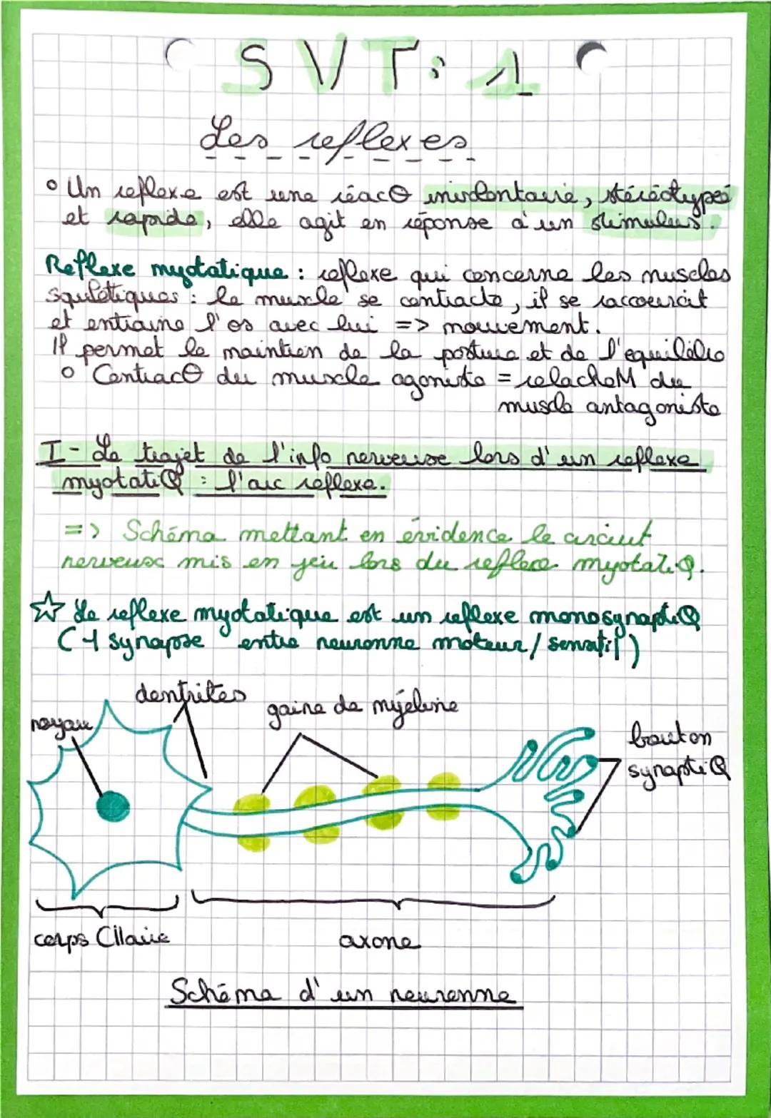 CSVA

Les reflexes

• Un reflexe est une réaco inivolontaire, stéréotypes
et rapide, alle agit en réponse à un simulus.

Reflexe mystatique: