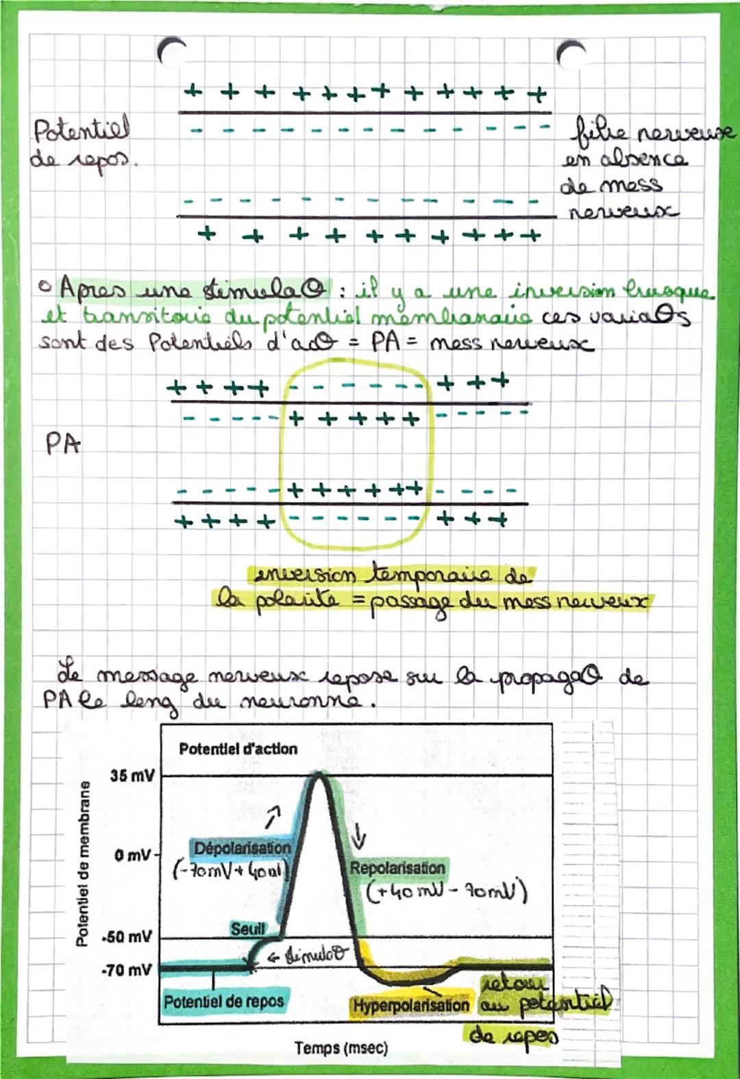 CSVA

Les reflexes

• Un reflexe est une réaco inivolontaire, stéréotypes
et rapide, alle agit en réponse à un simulus.

Reflexe mystatique: