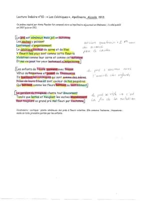 Know lecture linéaire, Les Colchiques, Alcools, Guillaume Apollinaire thumbnail