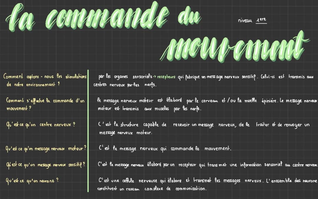 La commande du mouvement et le système nerveux - Cours et Schémas SVT 5ème