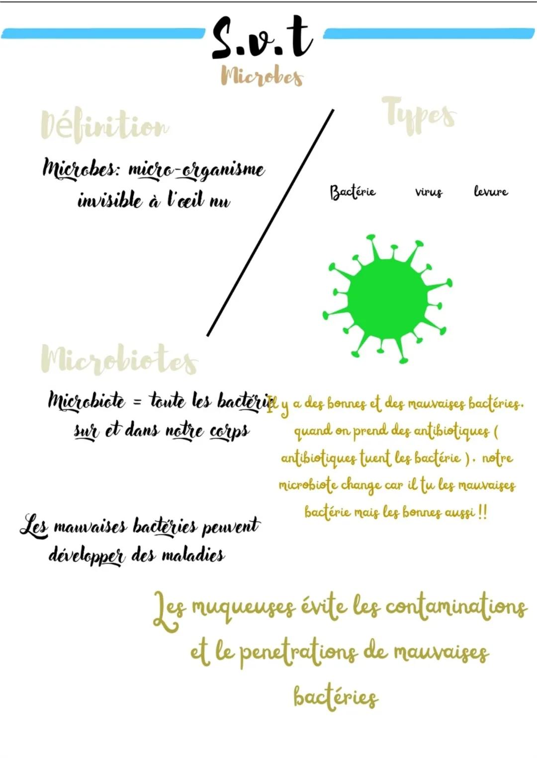 - S.v.t
Microbes

Types

Bactérie

Virus

levure

Définition
Microbes: micro-organisme
invisible à l'ceil nu

Microbiotes
Microbicte = toute