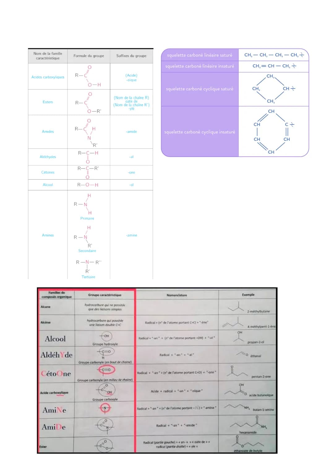 Nom de la famille
caractéristique
Acides carboxyliques
Esters
Amides
Aldéhydes
Cétones
Alcool
Amines
Familles de
composés organique
Akane
Al