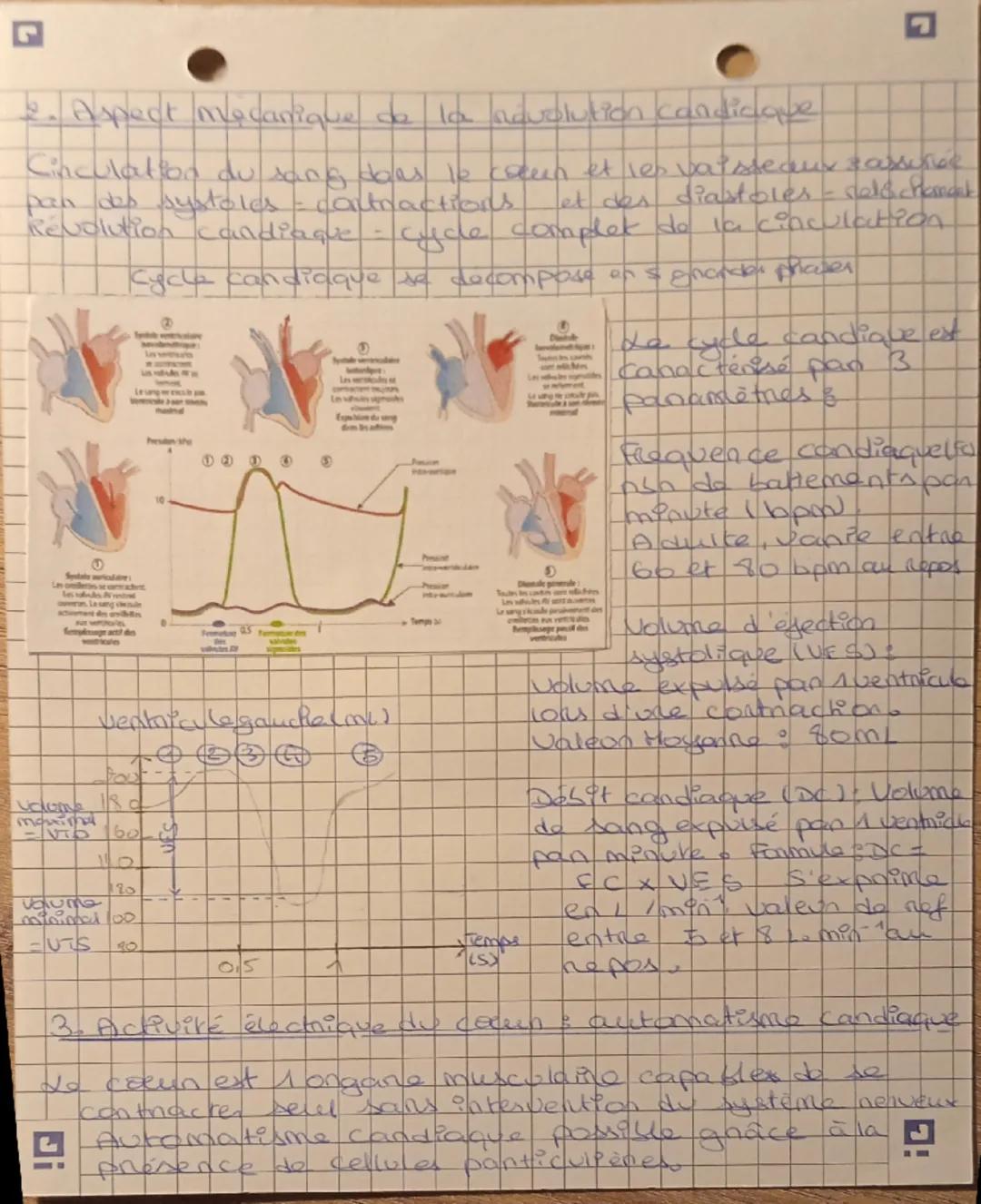 --- OCR Start ---
Π
chapitre 4a 1. Anatomie et physiologie cardiaque
1. Anatomie du corren
= structure du cerun
• cavities 120neillettes (re