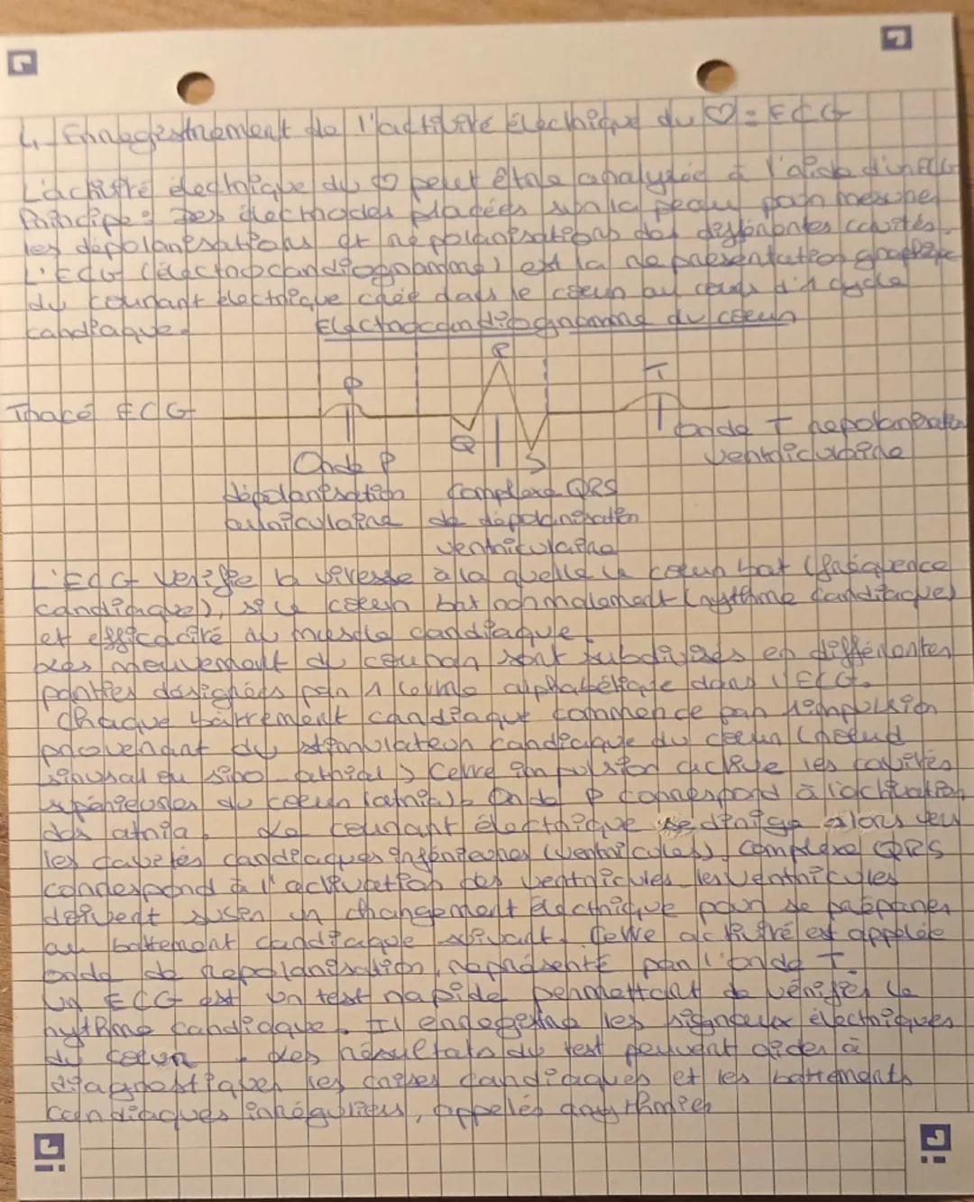 --- OCR Start ---
Π
chapitre 4a 1. Anatomie et physiologie cardiaque
1. Anatomie du corren
= structure du cerun
• cavities 120neillettes (re