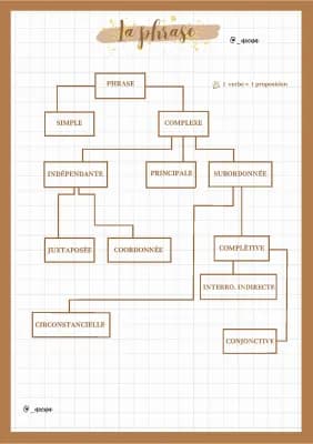Know Les phrases complexes - grammaire thumbnail