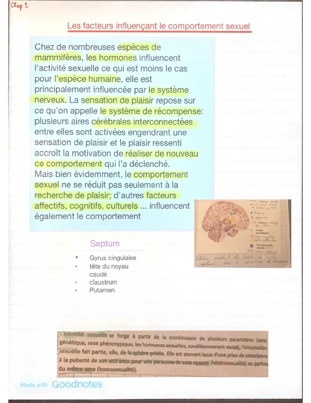 Cerveau, plaisir et sexualité 