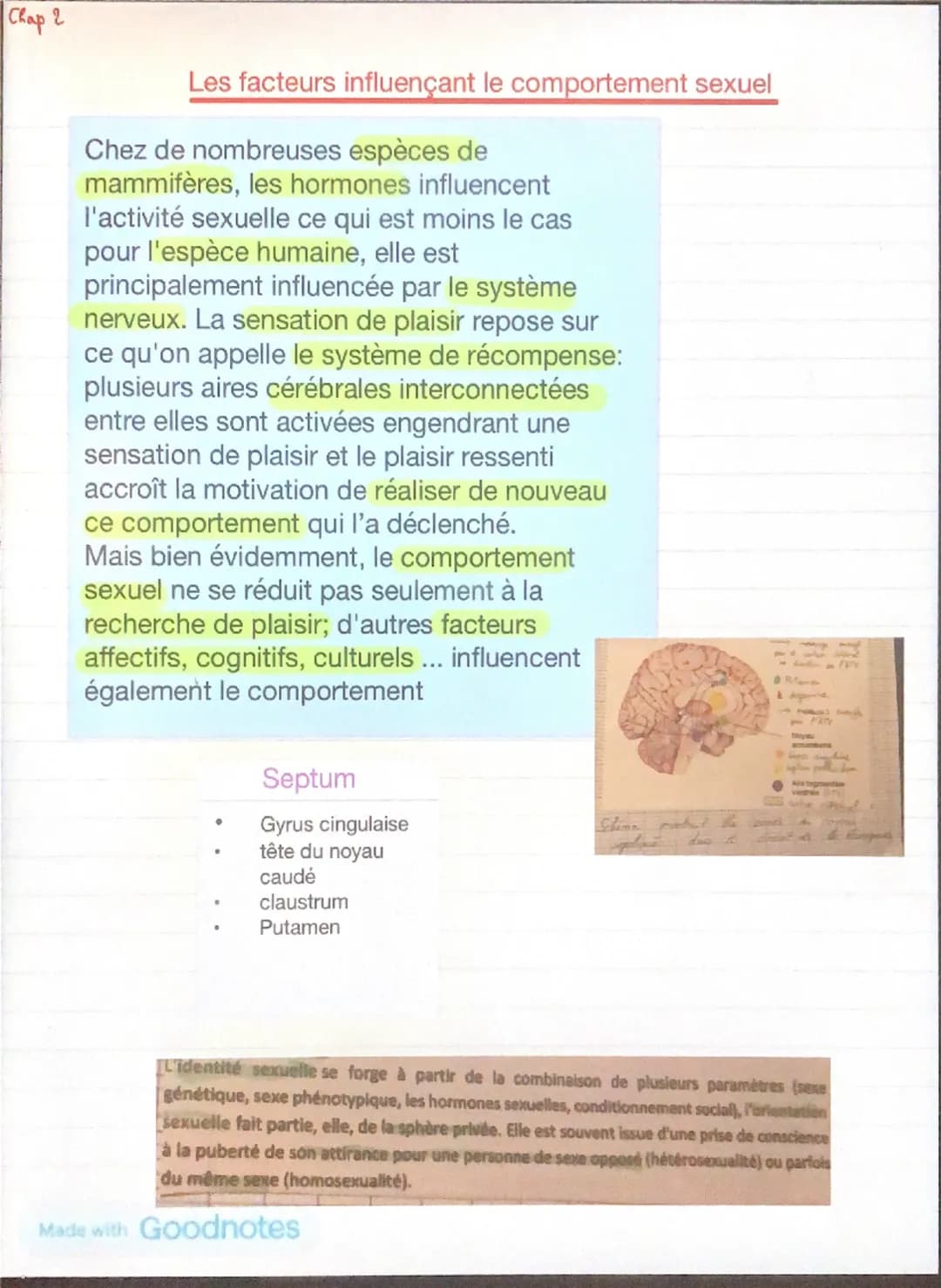 Chap 2
Les facteurs influençant le comportement sexuel
Chez de nombreuses espèces de
mammifères, les hormones influencent
l'activité sexuell