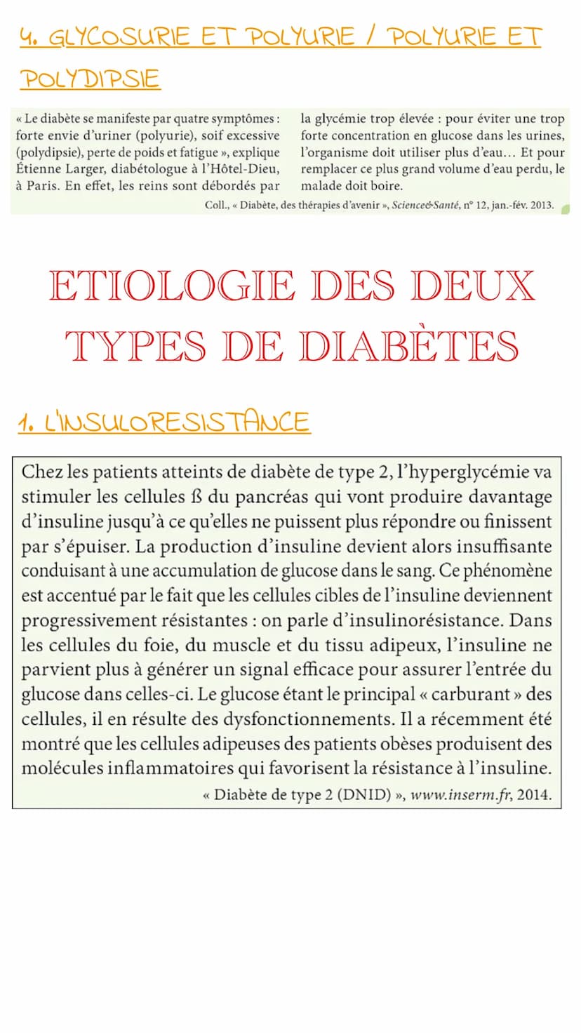 NOTEBOOK DIAGNOSTIQUER UN
DIABÈTE
un affaiblissement des mécanismes de régulation
du milieu intérieur peut être à l'origine de
pathologies. 