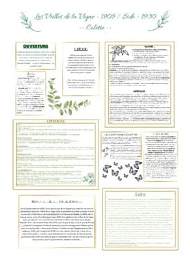 Know Fiche de cours : Les Vrilles de la vigne - Sido - Colette thumbnail