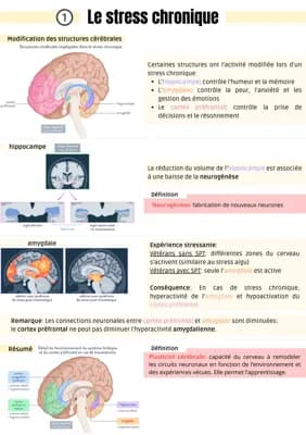 Know Le stress chronique thumbnail