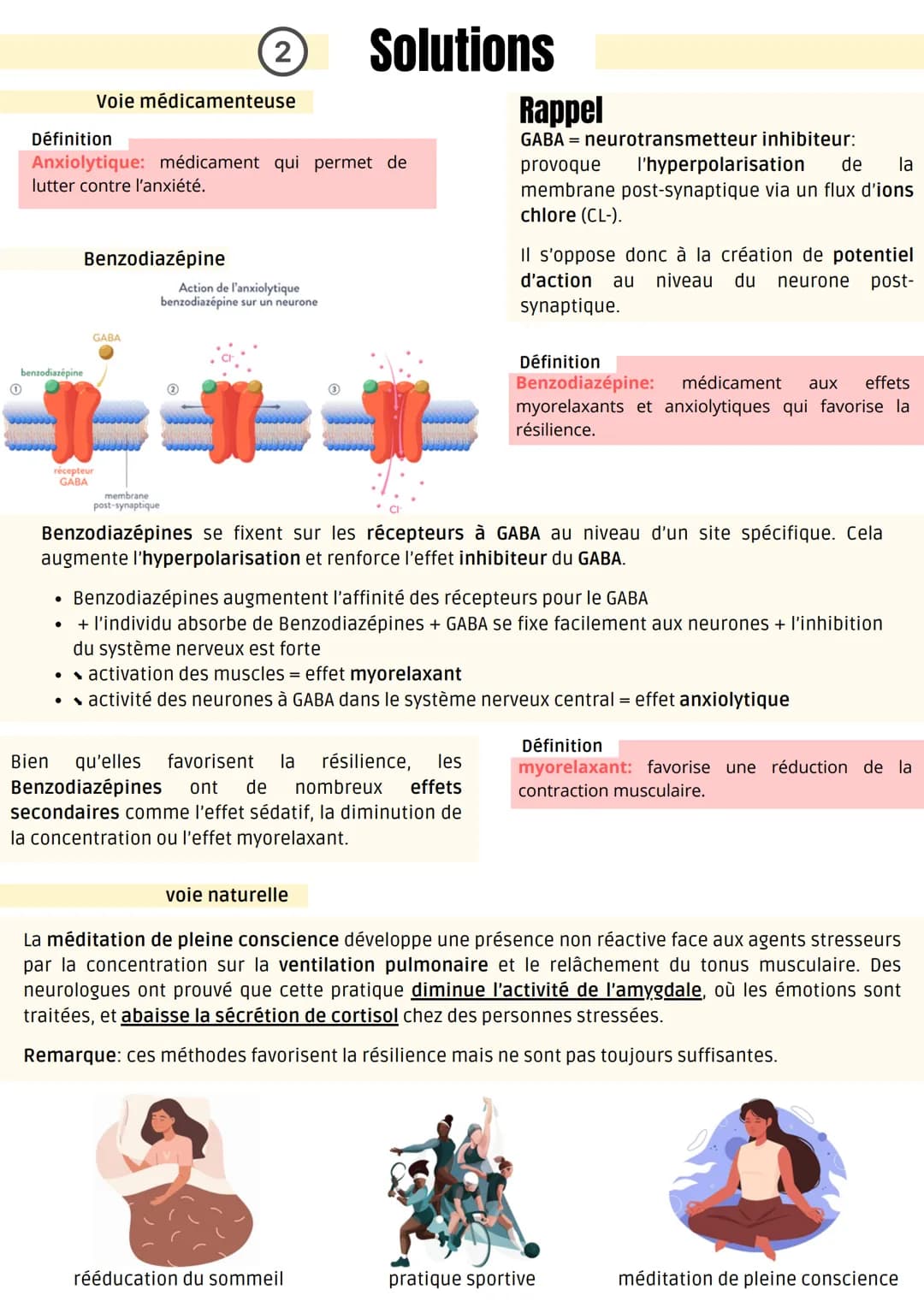 (1)
Modification des structures cérébrales
Structures cérébrales impliquées dans le stress chronique
cortex
prefrontal
hippocampe
sujet témo