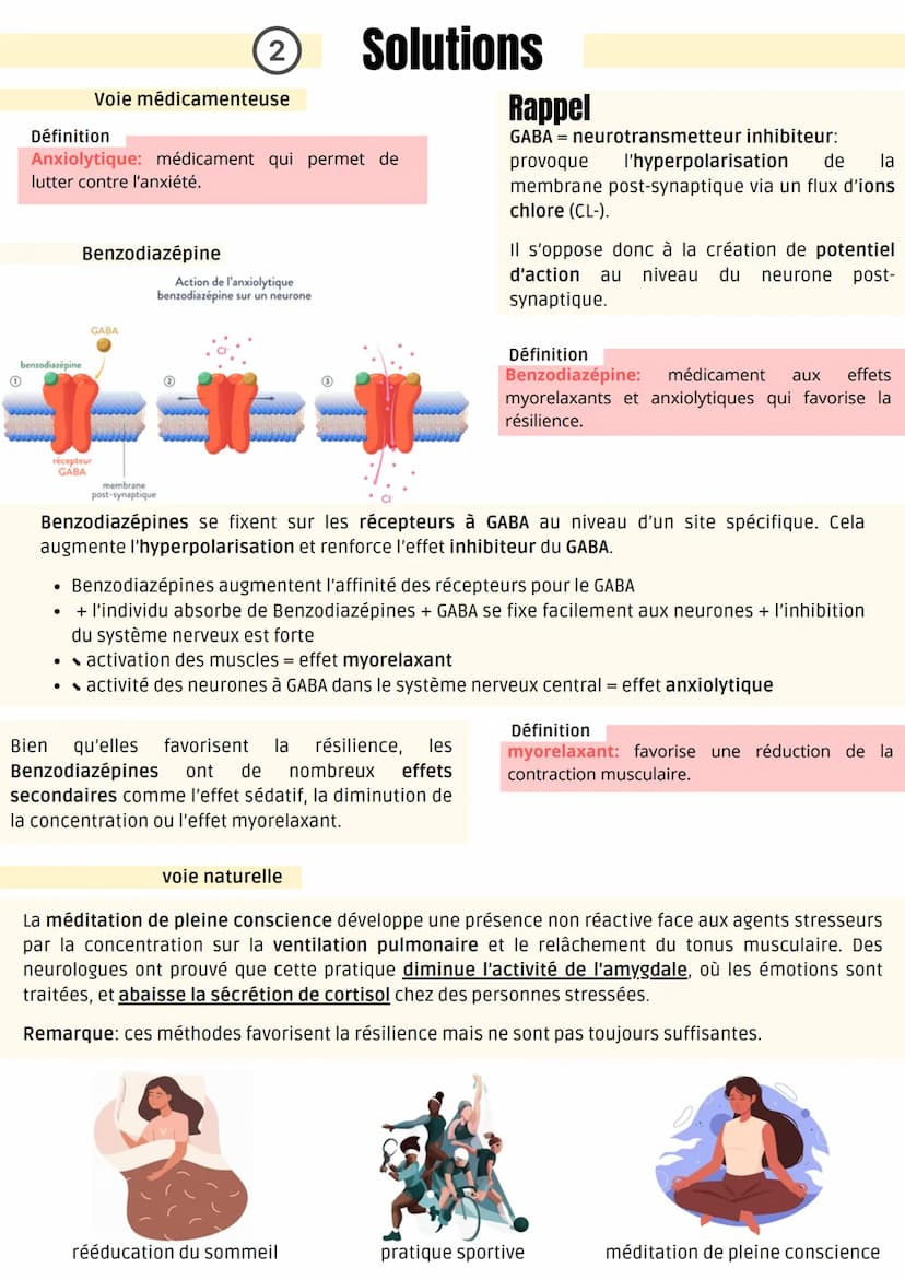 (1)
Modification des structures cérébrales
Structures cérébrales impliquées dans le stress chronique
cortex
prefrontal
hippocampe
sujet témo