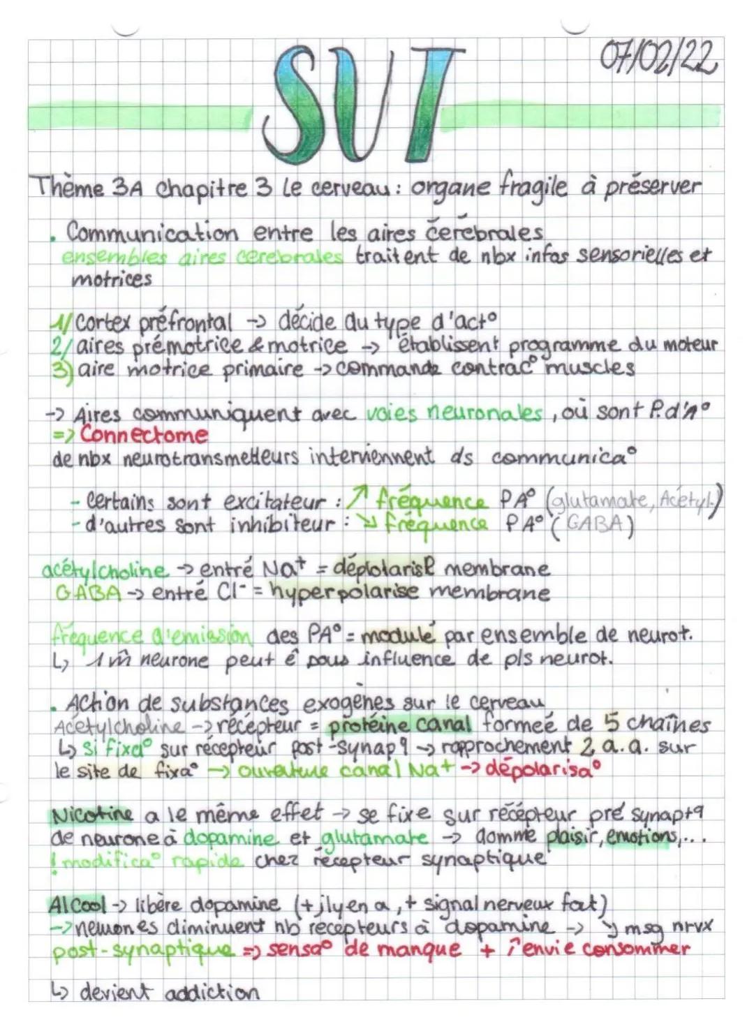 SUT
07/02/22

Thème 3A Chapitre 3 Le cerveau: organe fragile à préserver

Communication entre les aires cerebrales
ensembles aines cerebrale