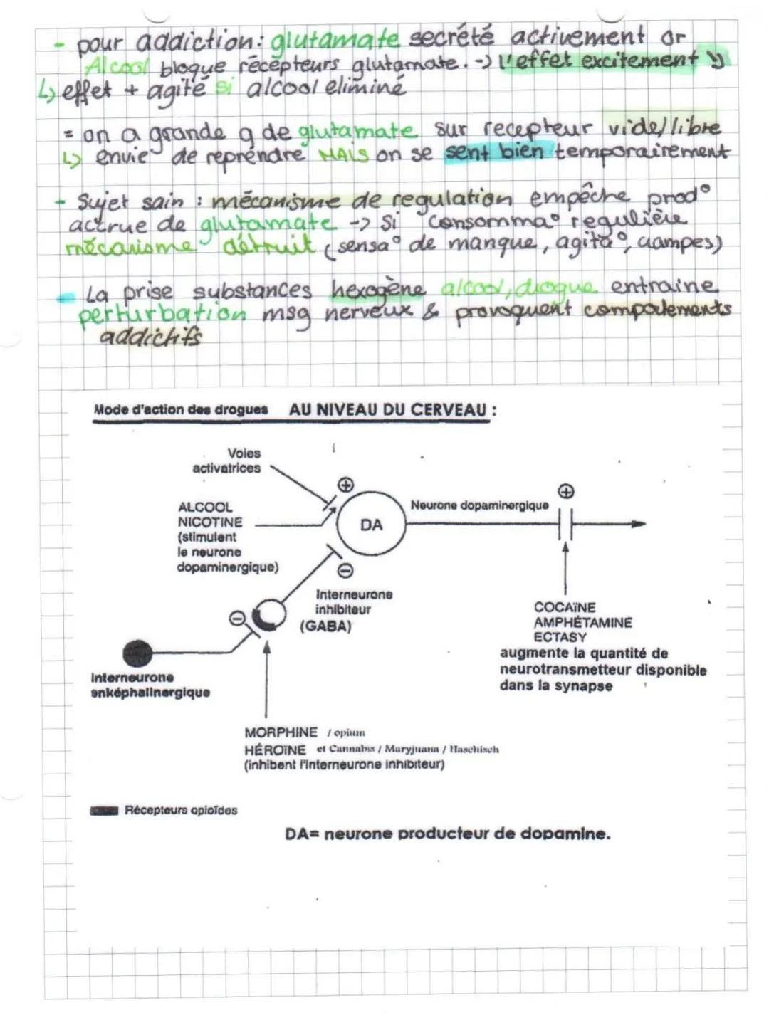 SUT
07/02/22

Thème 3A Chapitre 3 Le cerveau: organe fragile à préserver

Communication entre les aires cerebrales
ensembles aines cerebrale