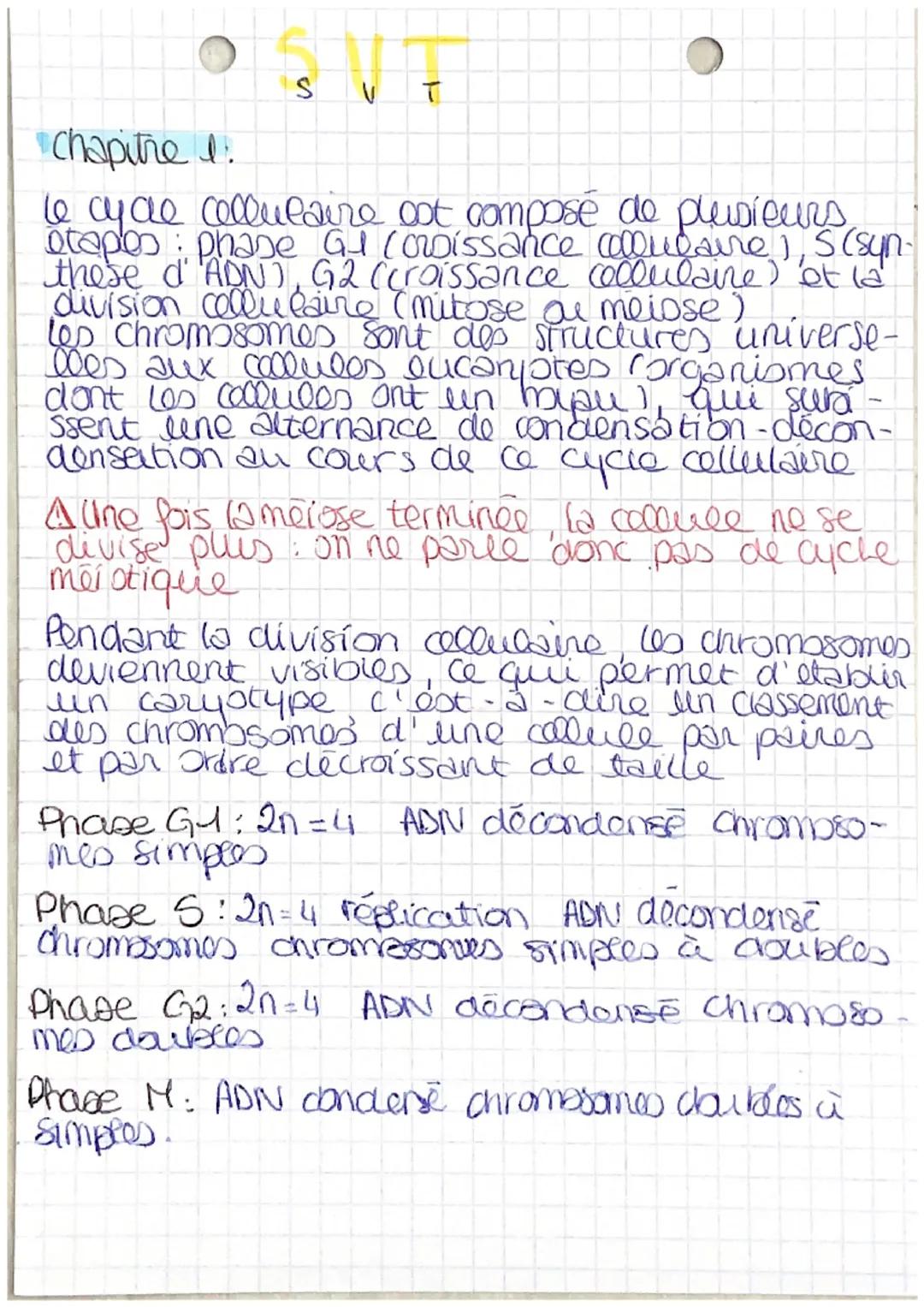G1
2=4
• SVT chap 4.
INTERPHASE
Division de mitose:
4 mere
x
S G2 Mi G1
S G2 Me
Cycle cellulaire
XX
88
paire de
chromosomes
0x
& fille
cytop